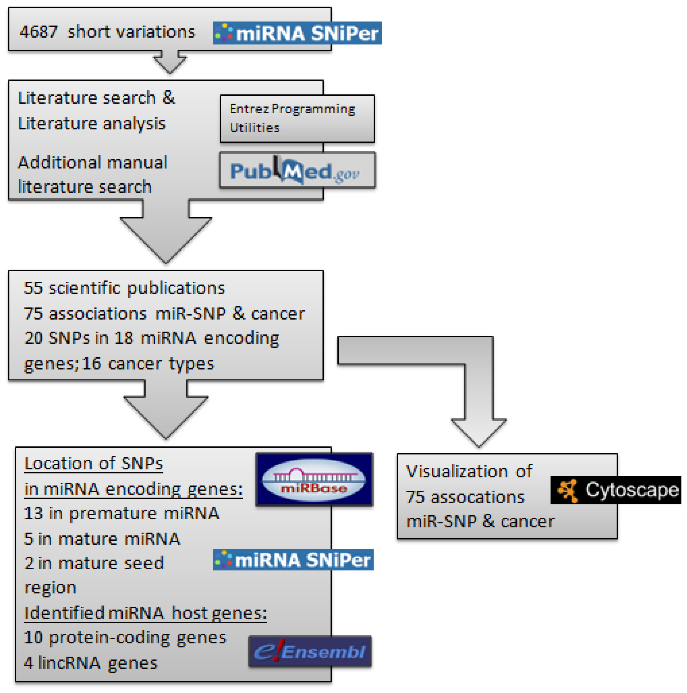 Cancers 07 00863 g001