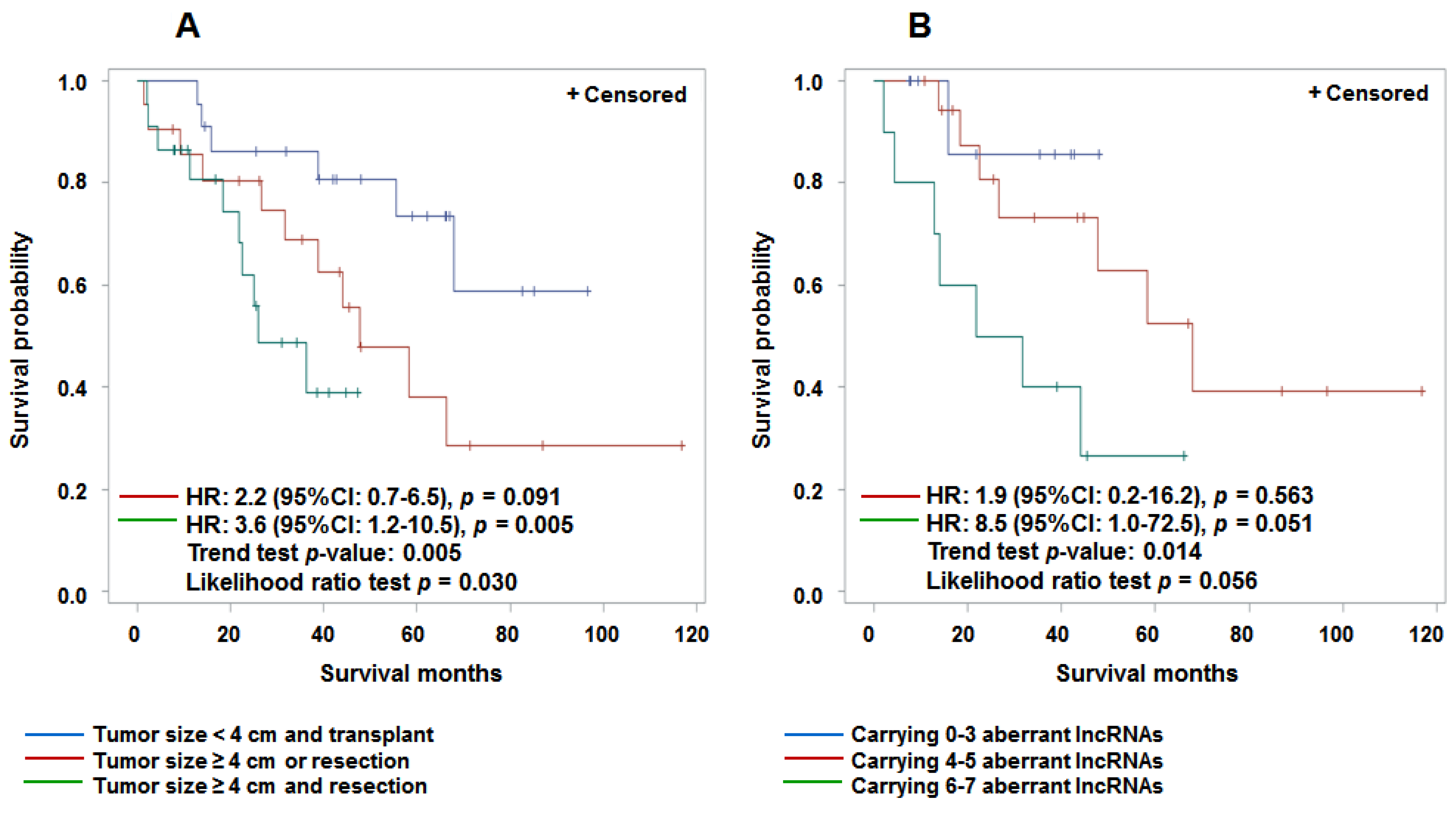 Cancers 07 00865 g001 1024
