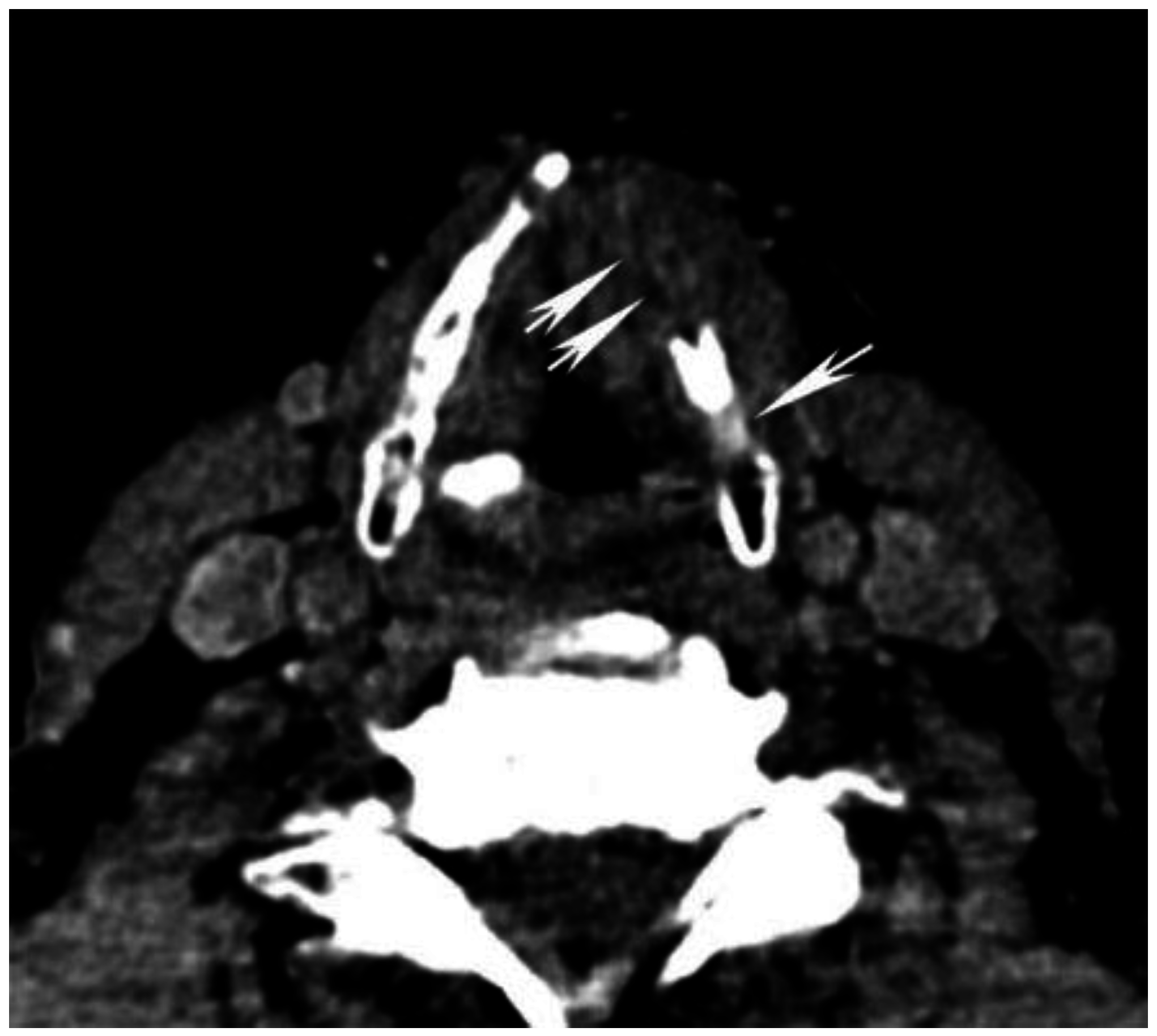 Cancers 07 00886 g005 1024