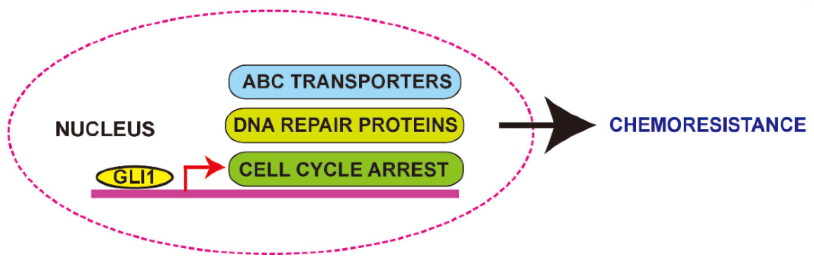 Cancers 07 00894 g004 1024