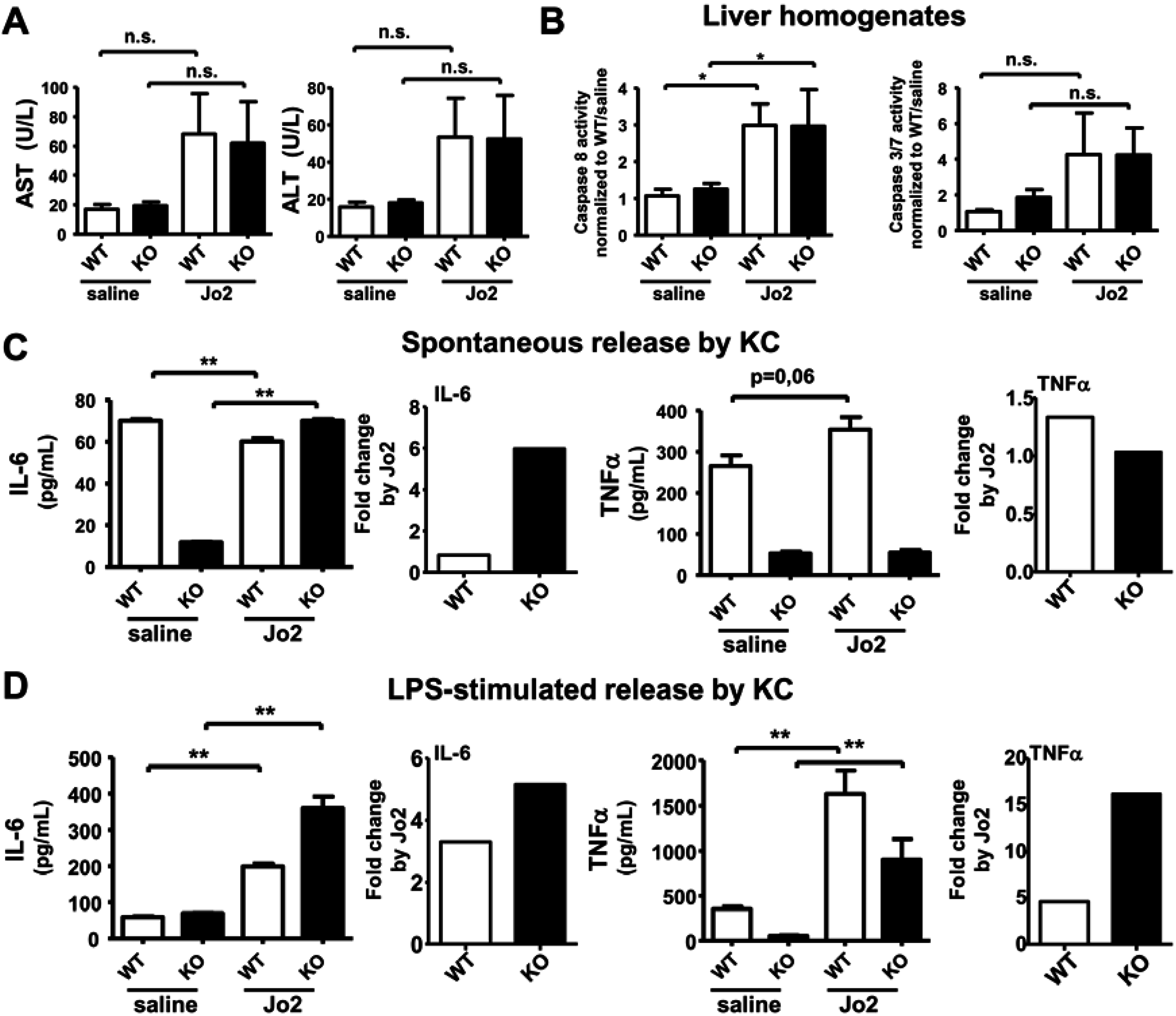 Cancers 07 00901 g003