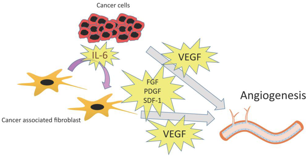 Cancers 07 00902 g003 1024