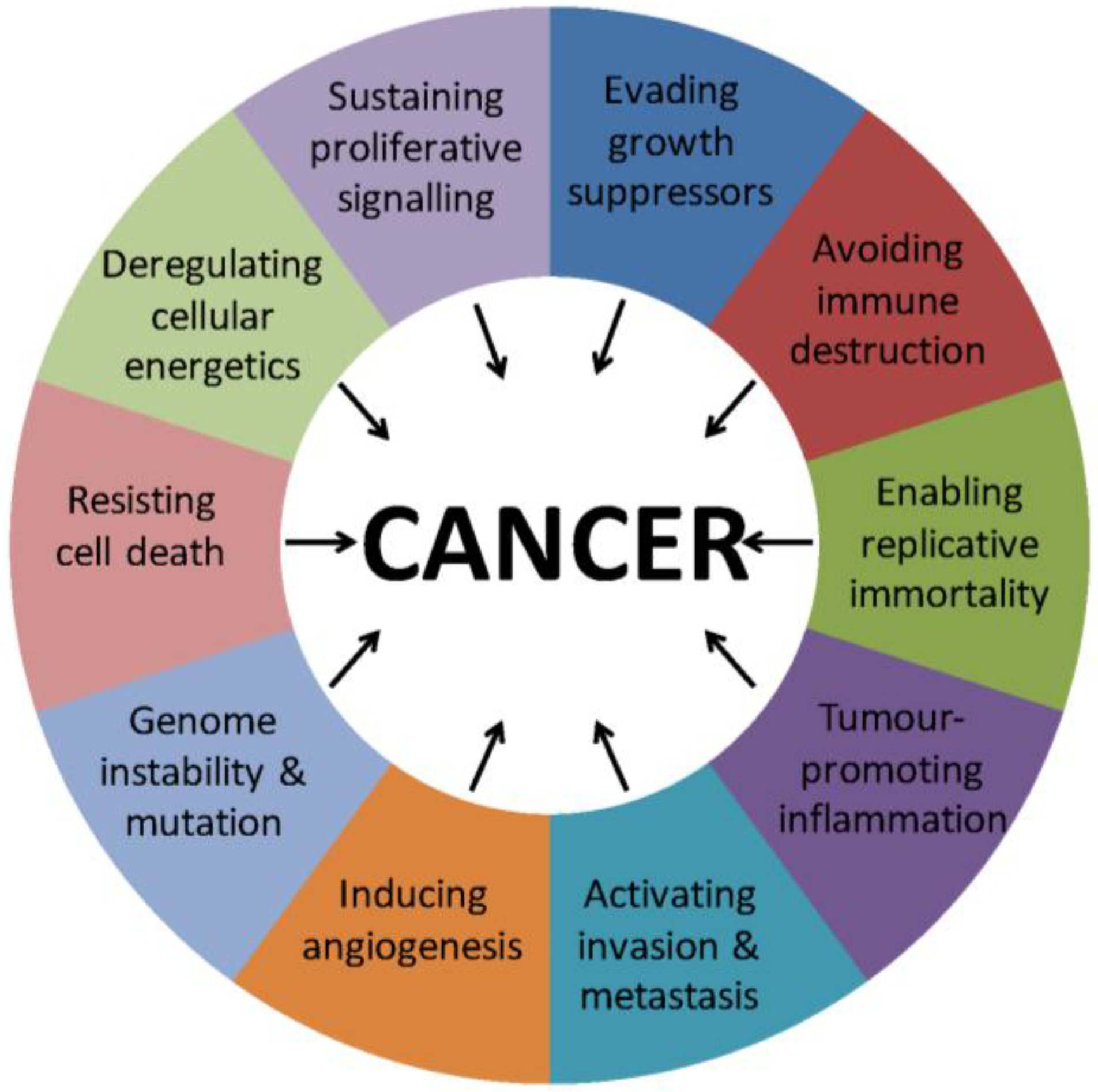 Cancers 08 00035 g001