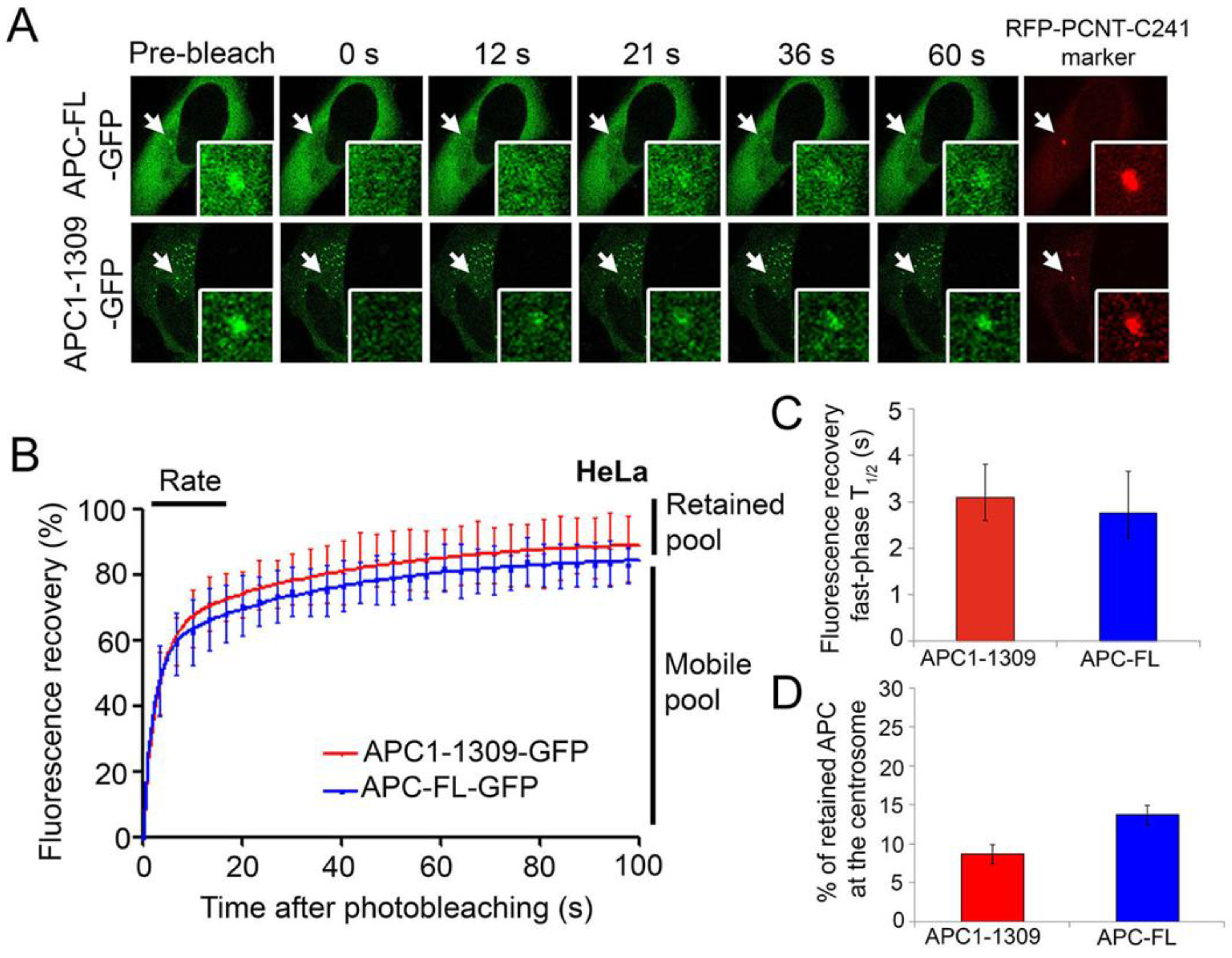 Cancers 08 00047 g002
