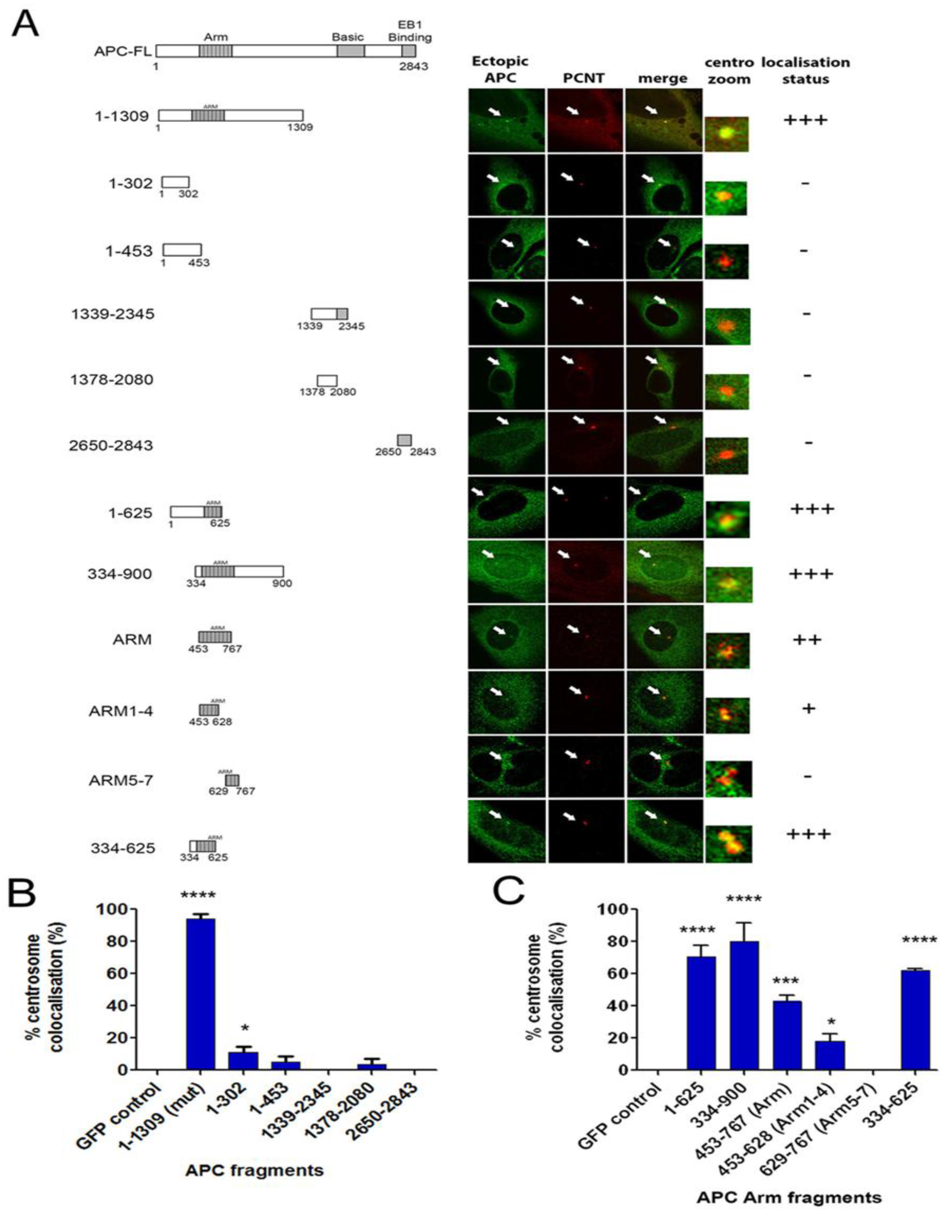 Cancers 08 00047 g005
