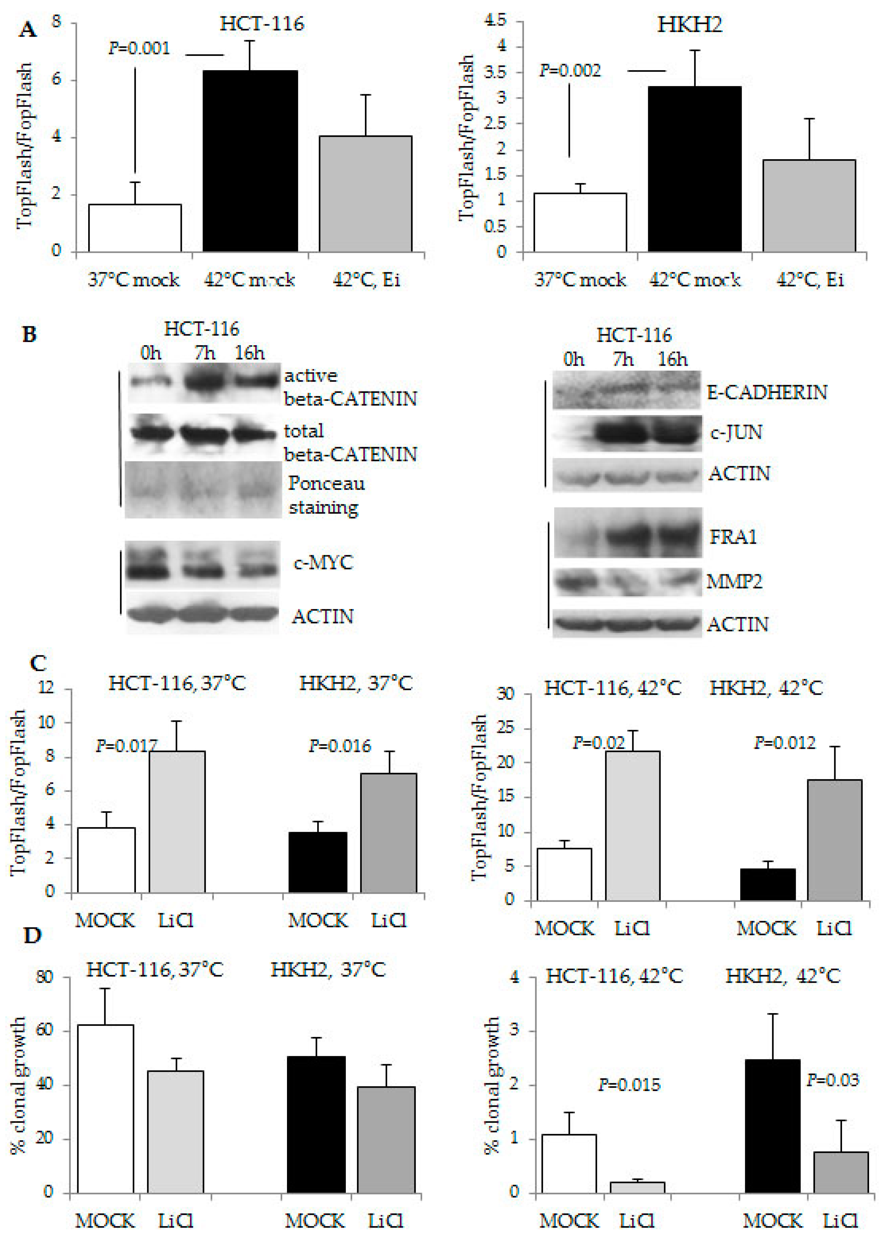 Cancers 08 00049 g005 1024