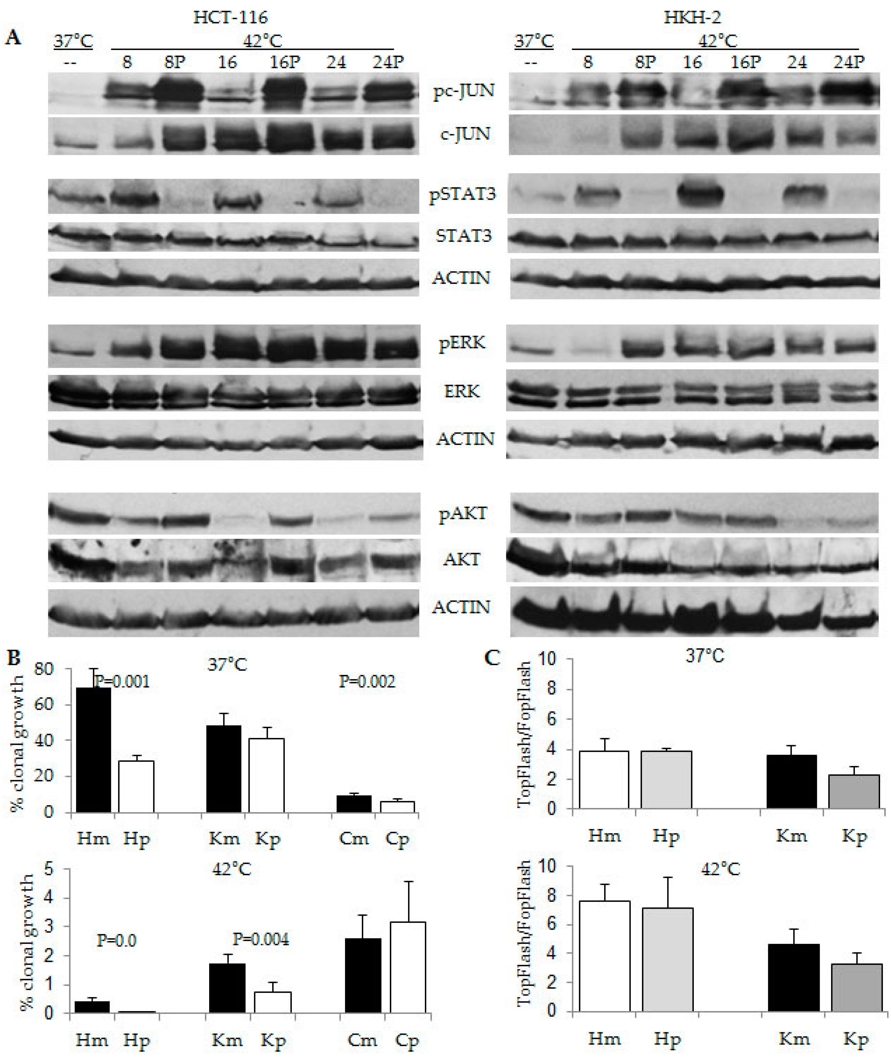 Cancers 08 00049 g007 1024