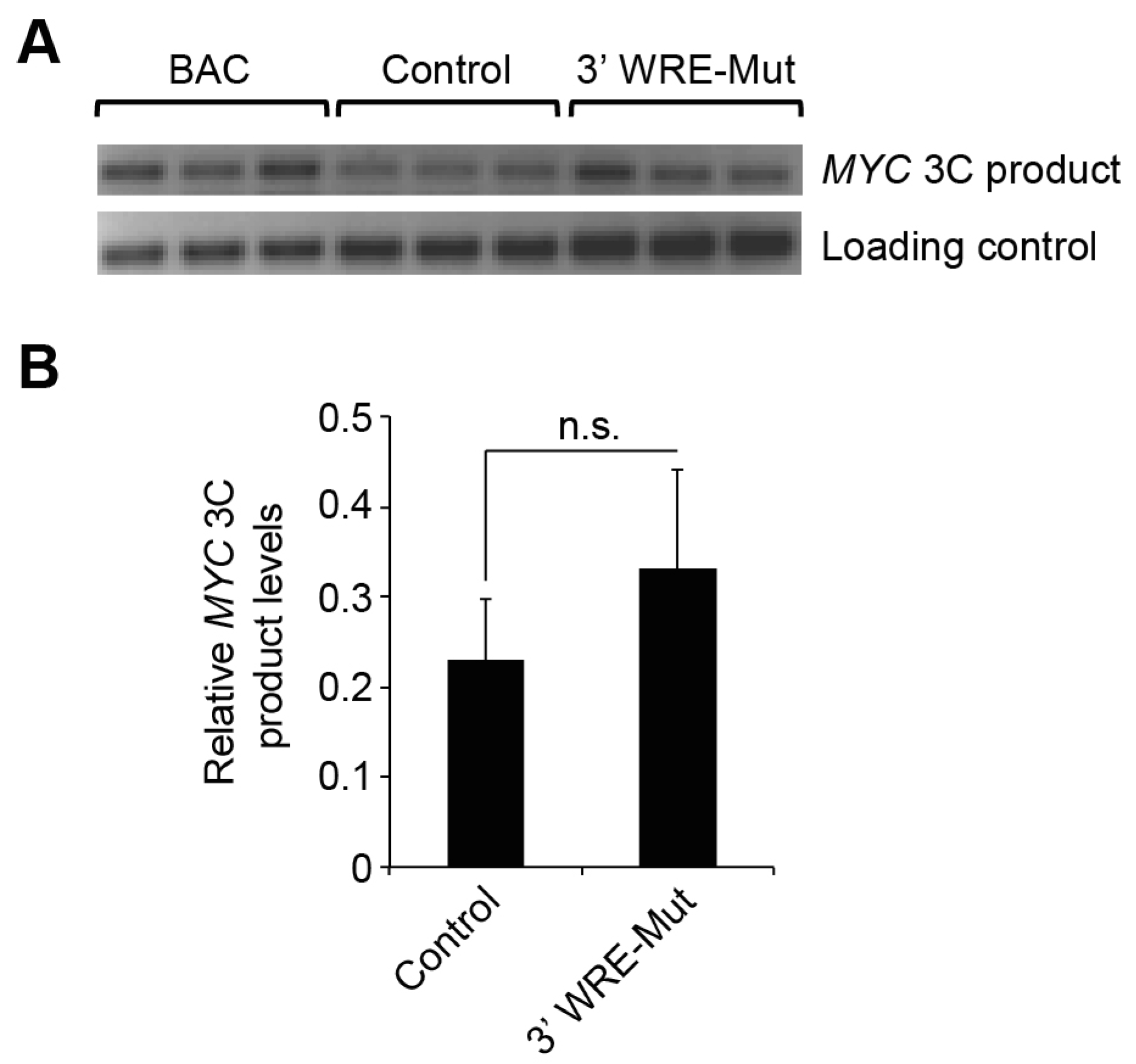 Cancers 08 00052 g003 1024
