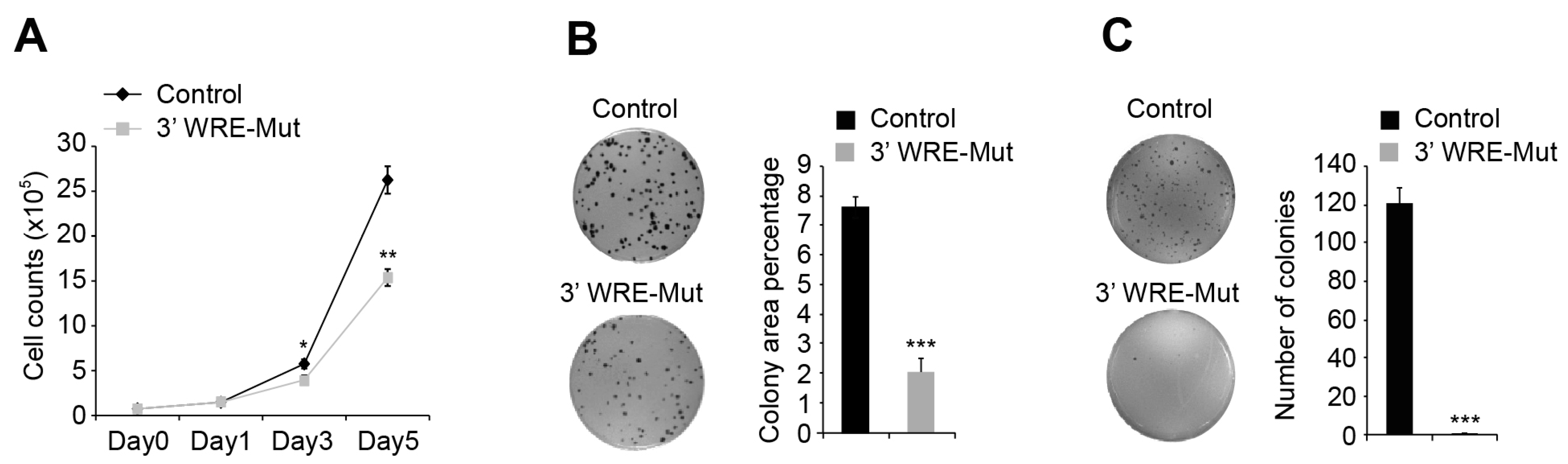 Cancers 08 00052 g005 1024