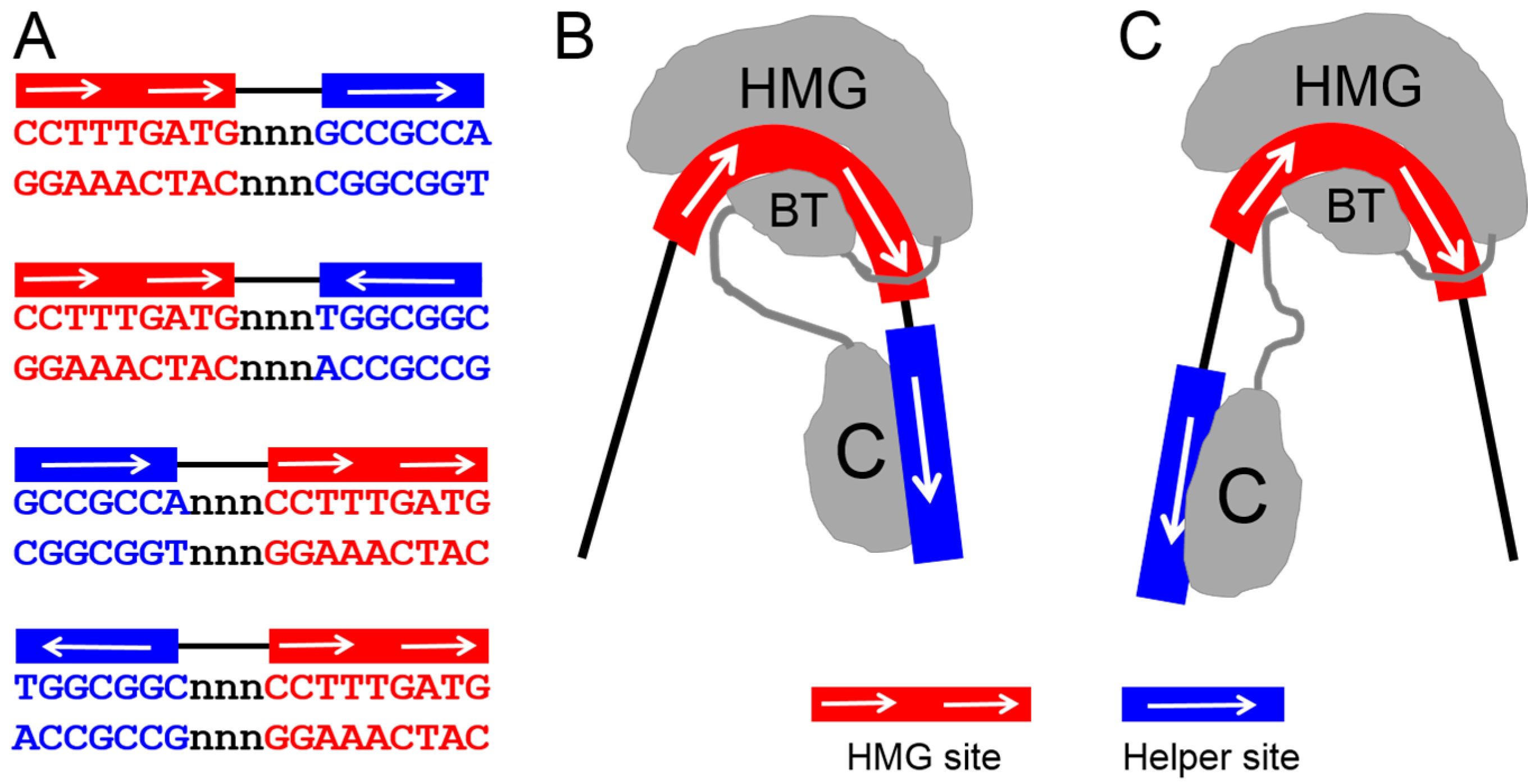 Cancers 08 00074 g004