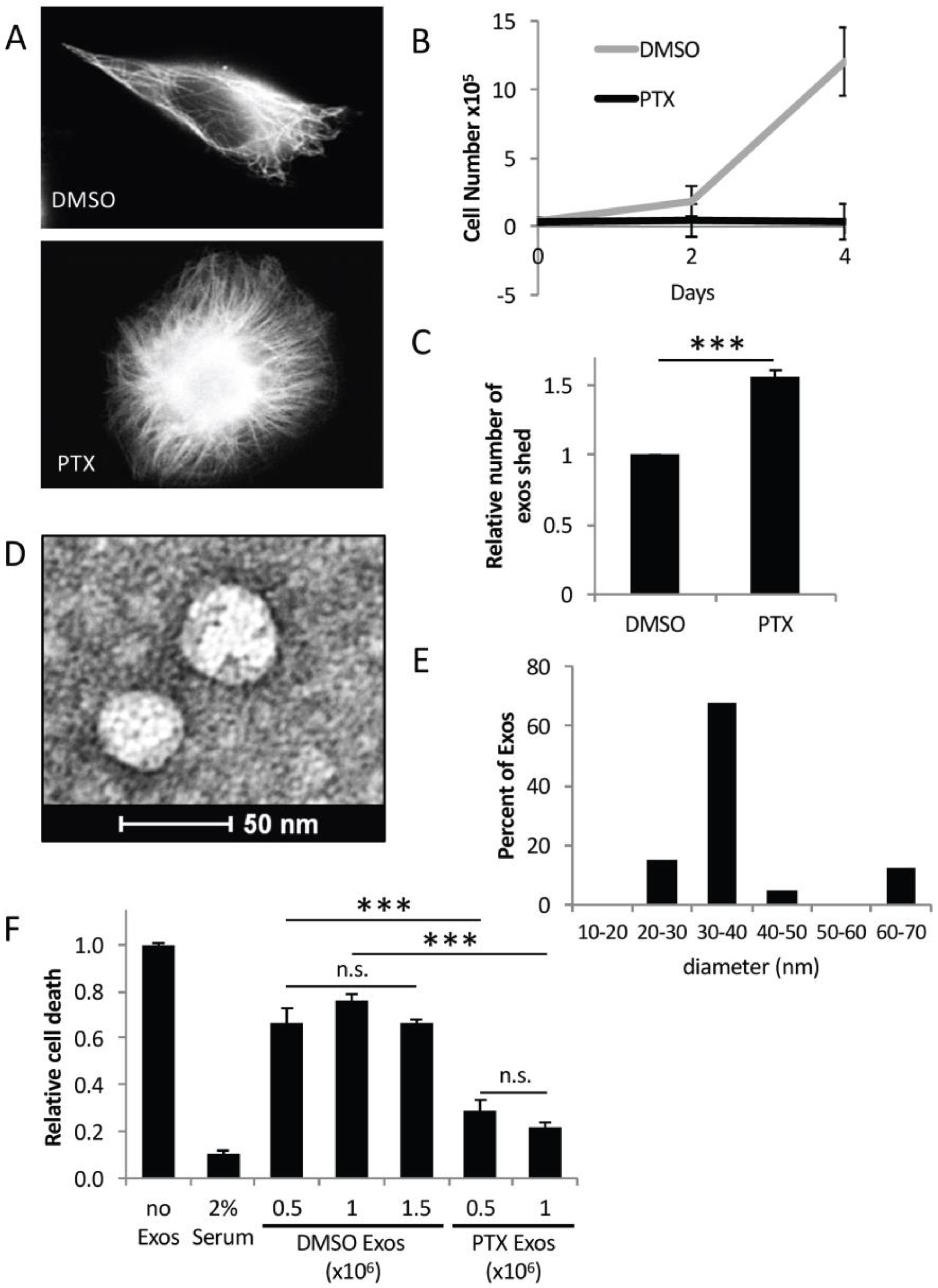 Cancers 08 00111 g002