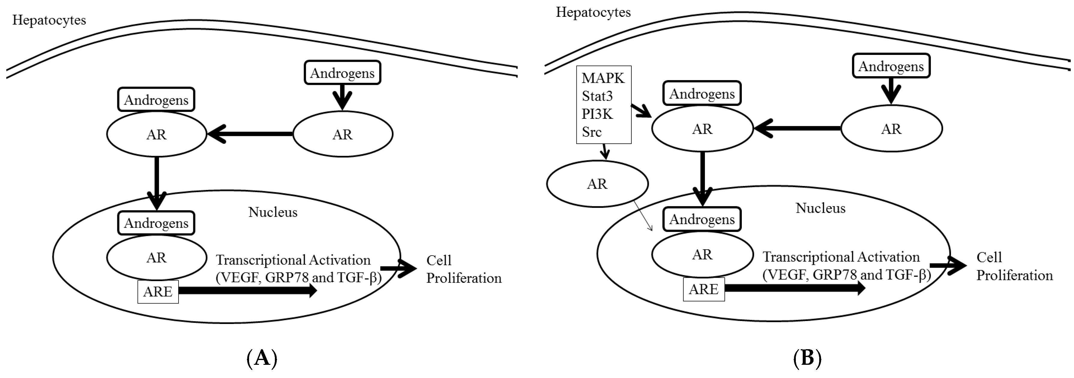 Cancers 09 00043 g001