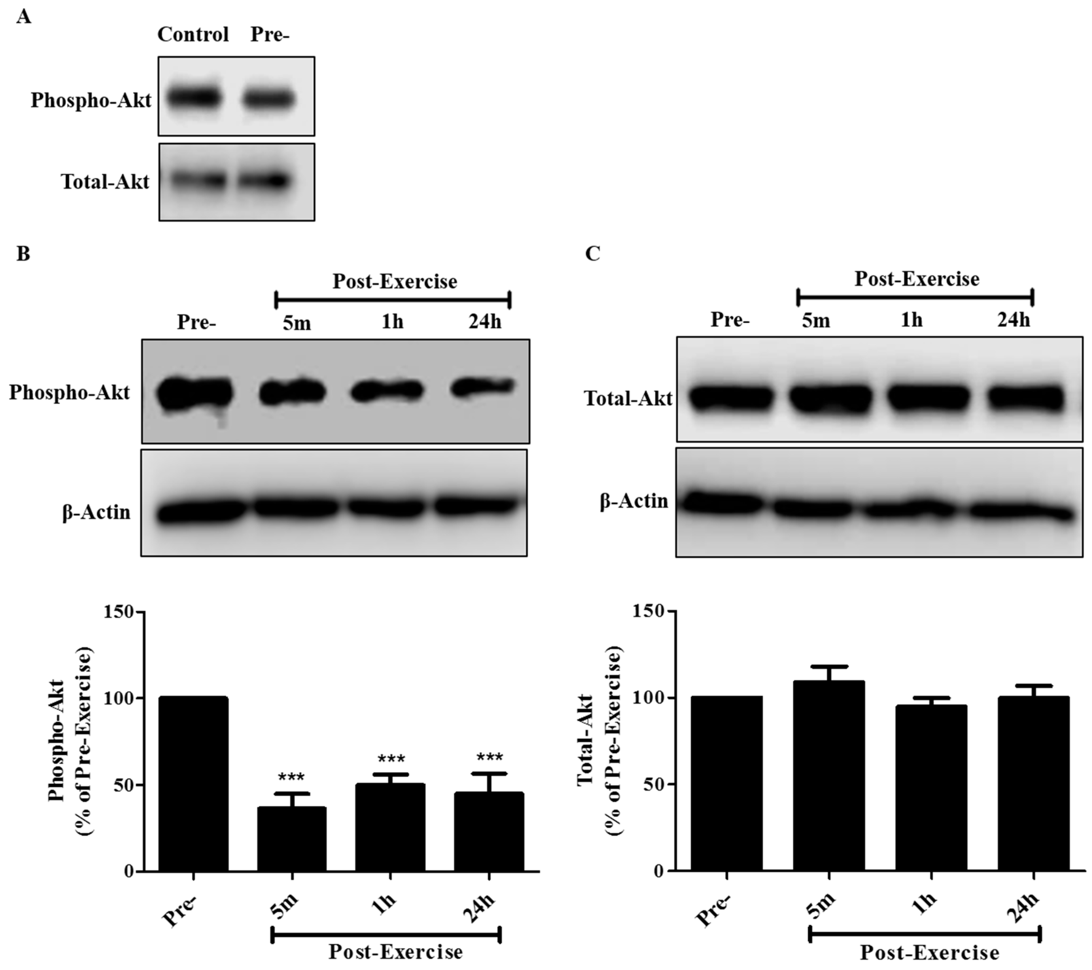 Cancers 09 00046 g003