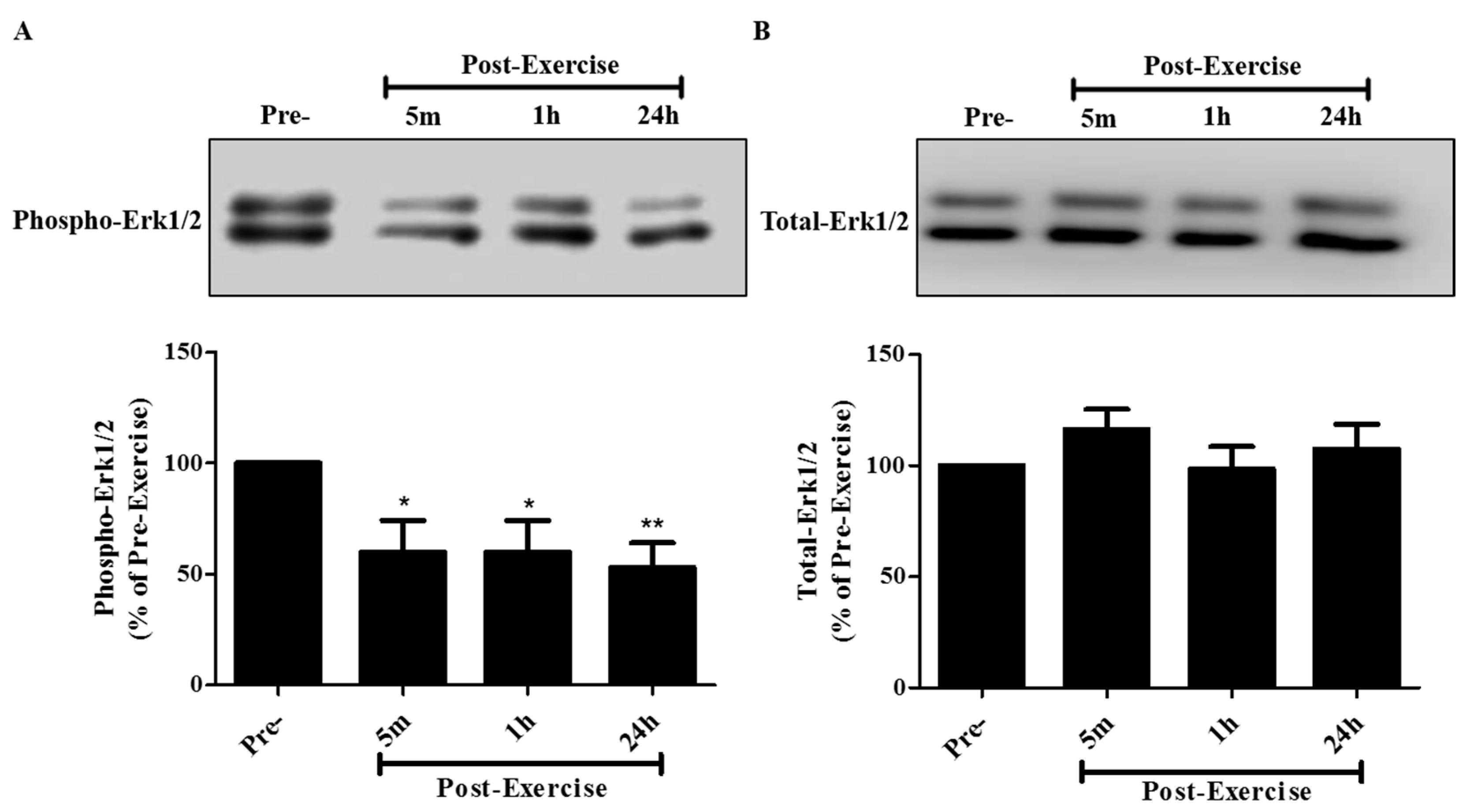 Cancers 09 00046 g006