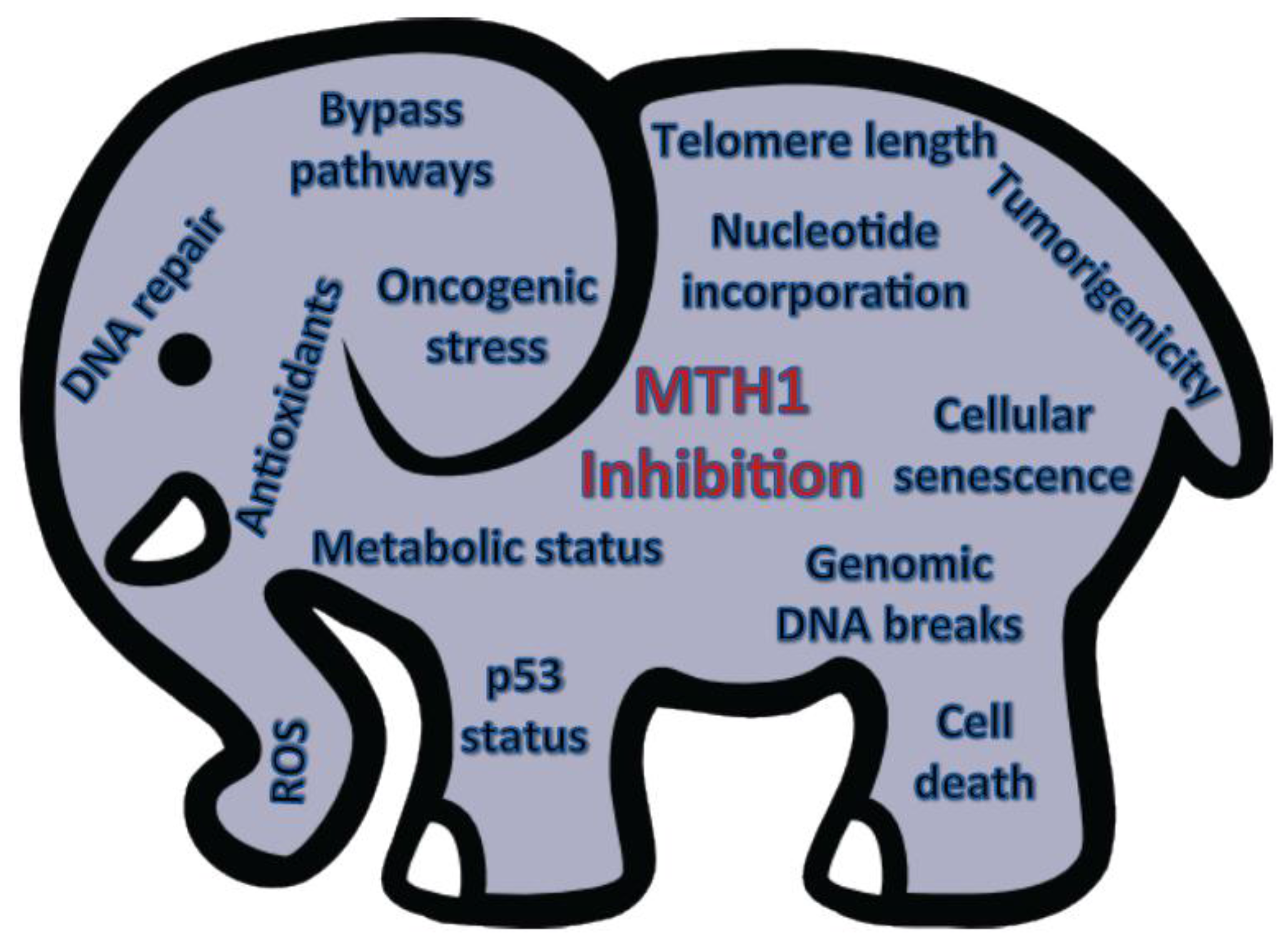 Cancers 09 00047 g002