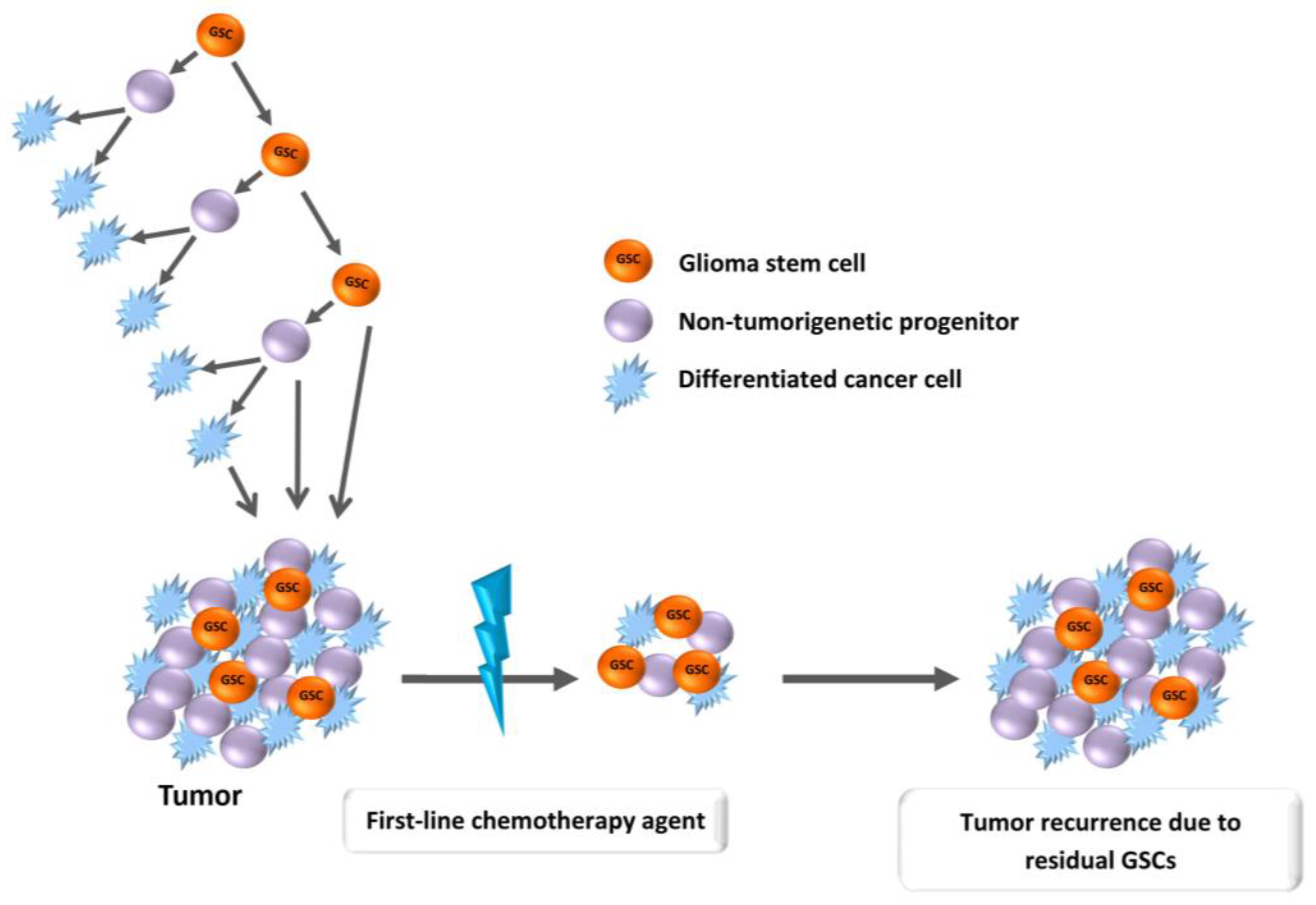 Cancers 09 00057 g001 550