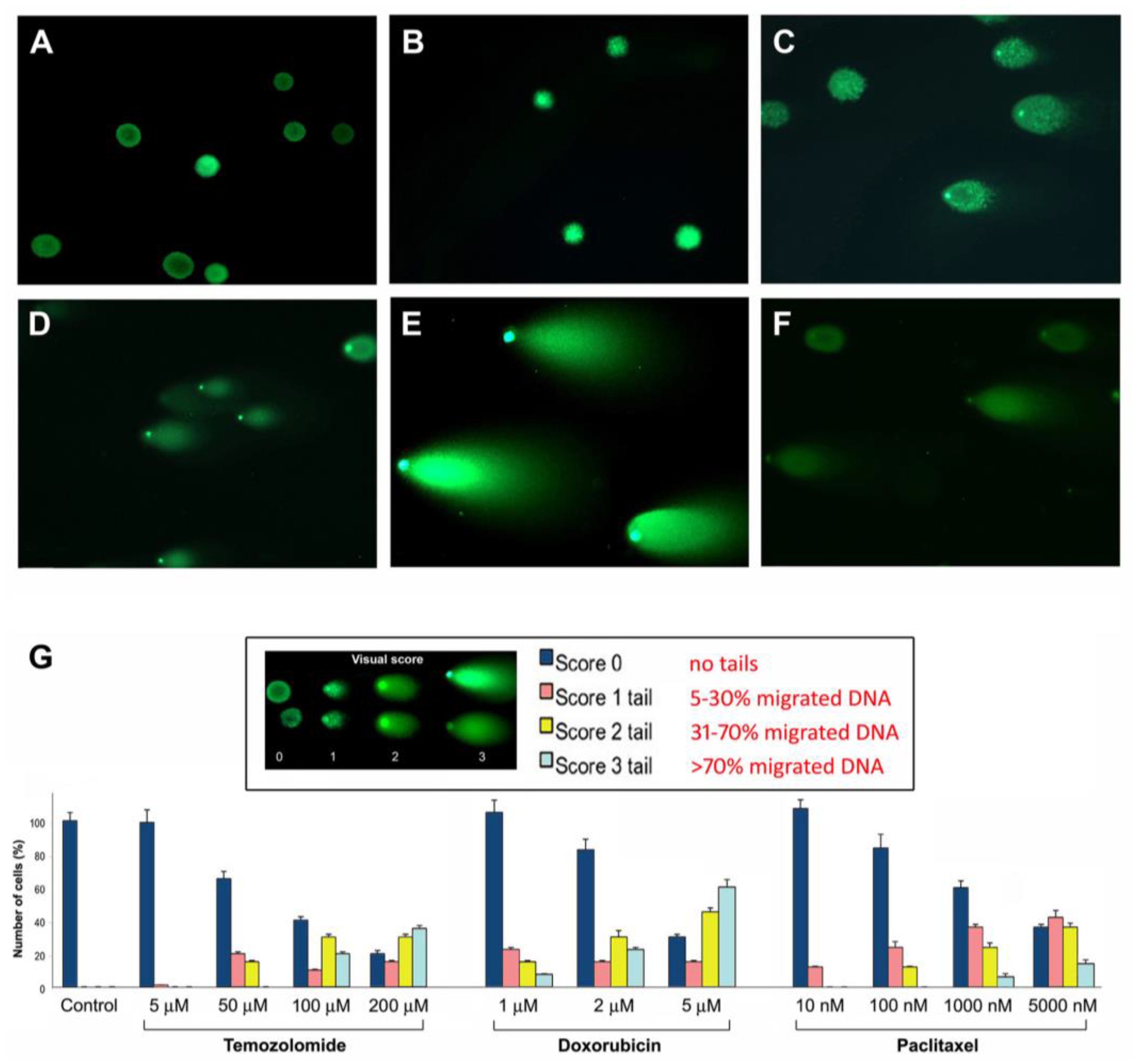 Cancers 09 00057 g005 550
