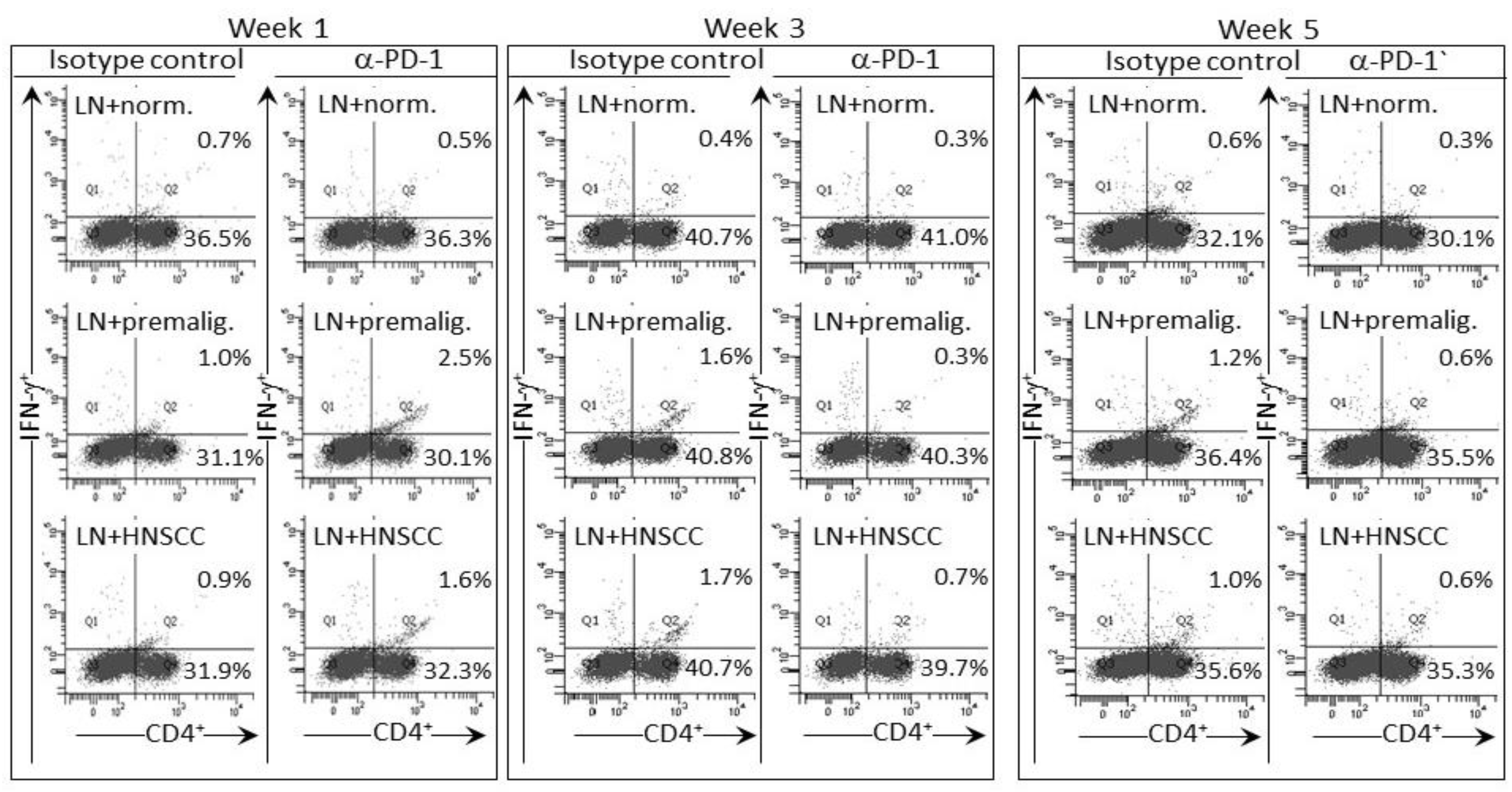 Cancers 09 00062 g005 550