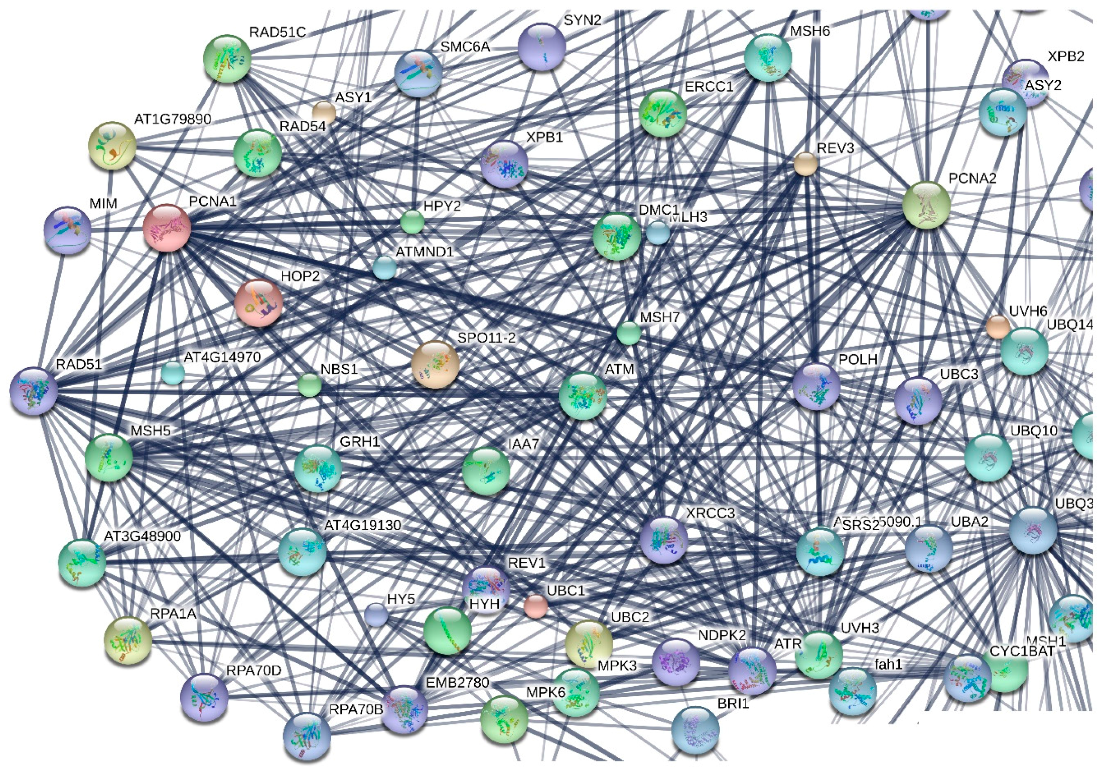 Cancers 09 00065 g003 550