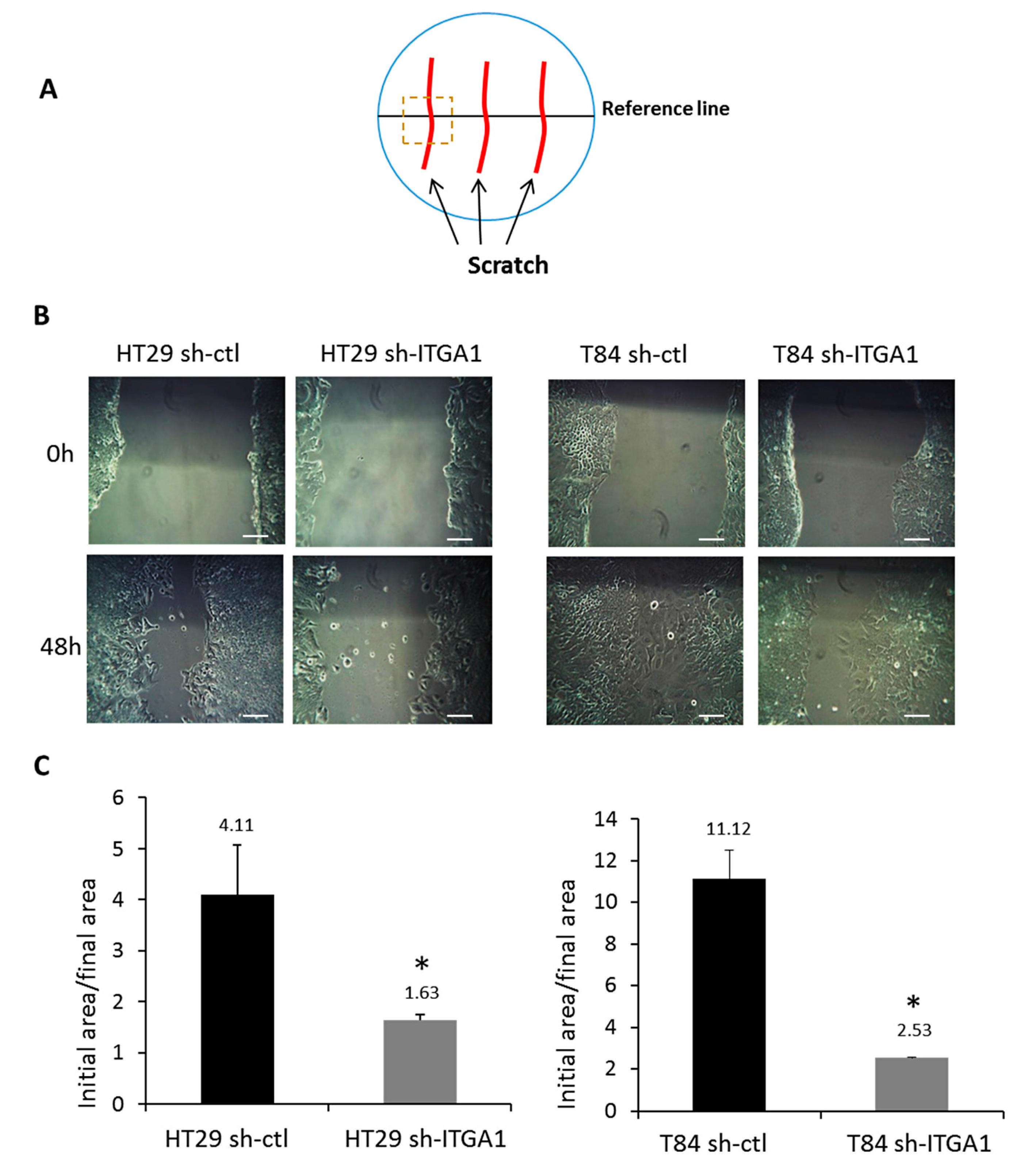 Cancers 09 00096 g004 550
