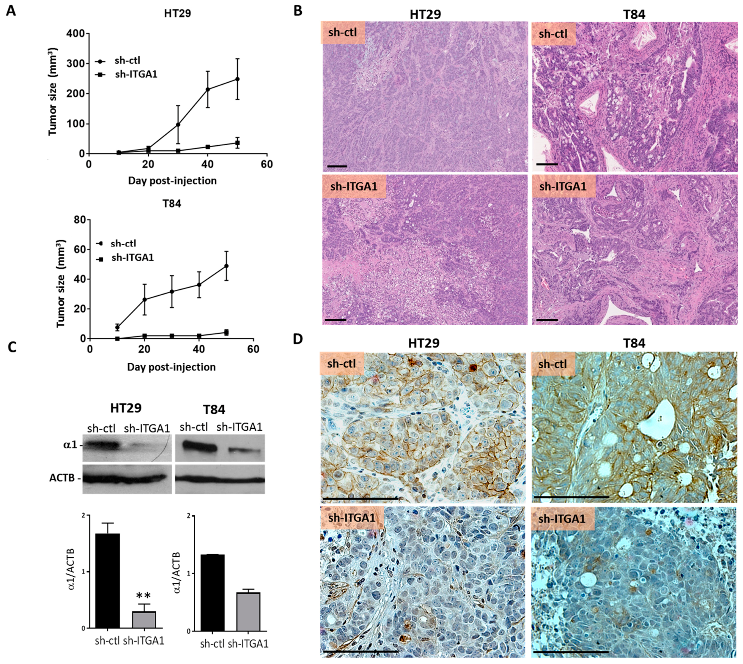Cancers 09 00096 g005 550