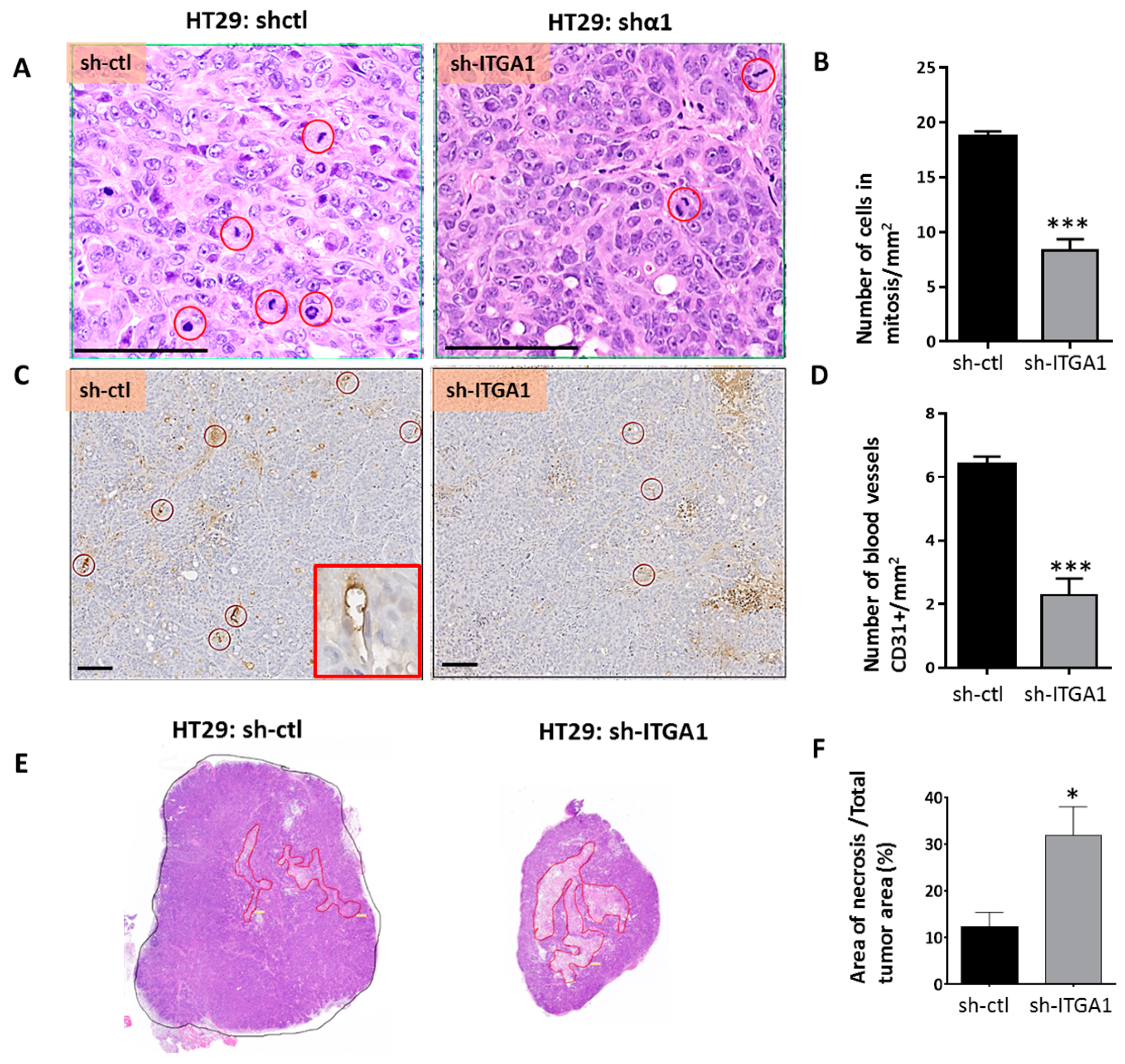 Cancers 09 00096 g006 550