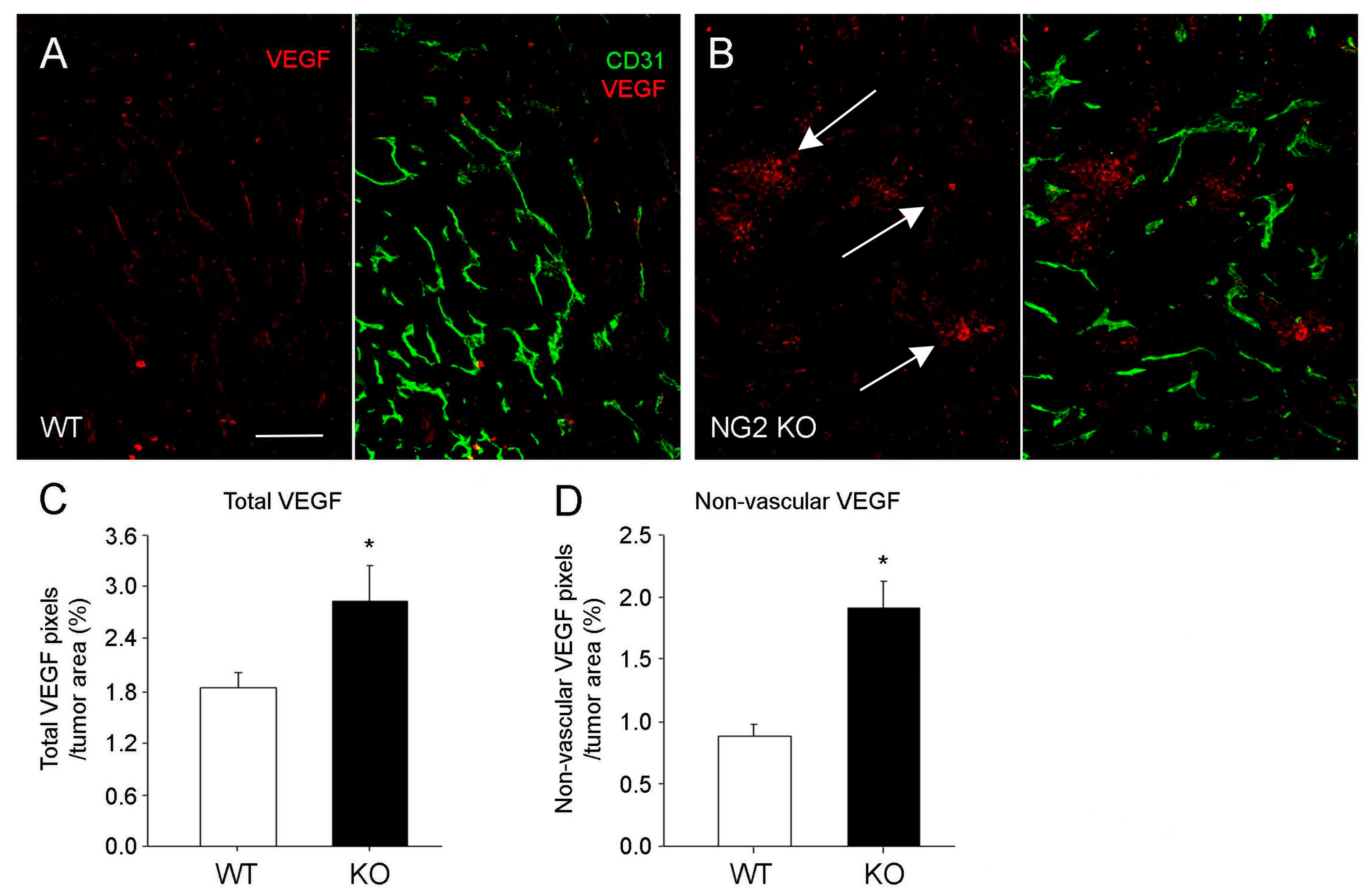 Cancers 09 00097 g004 Cancers 09 00097 g004