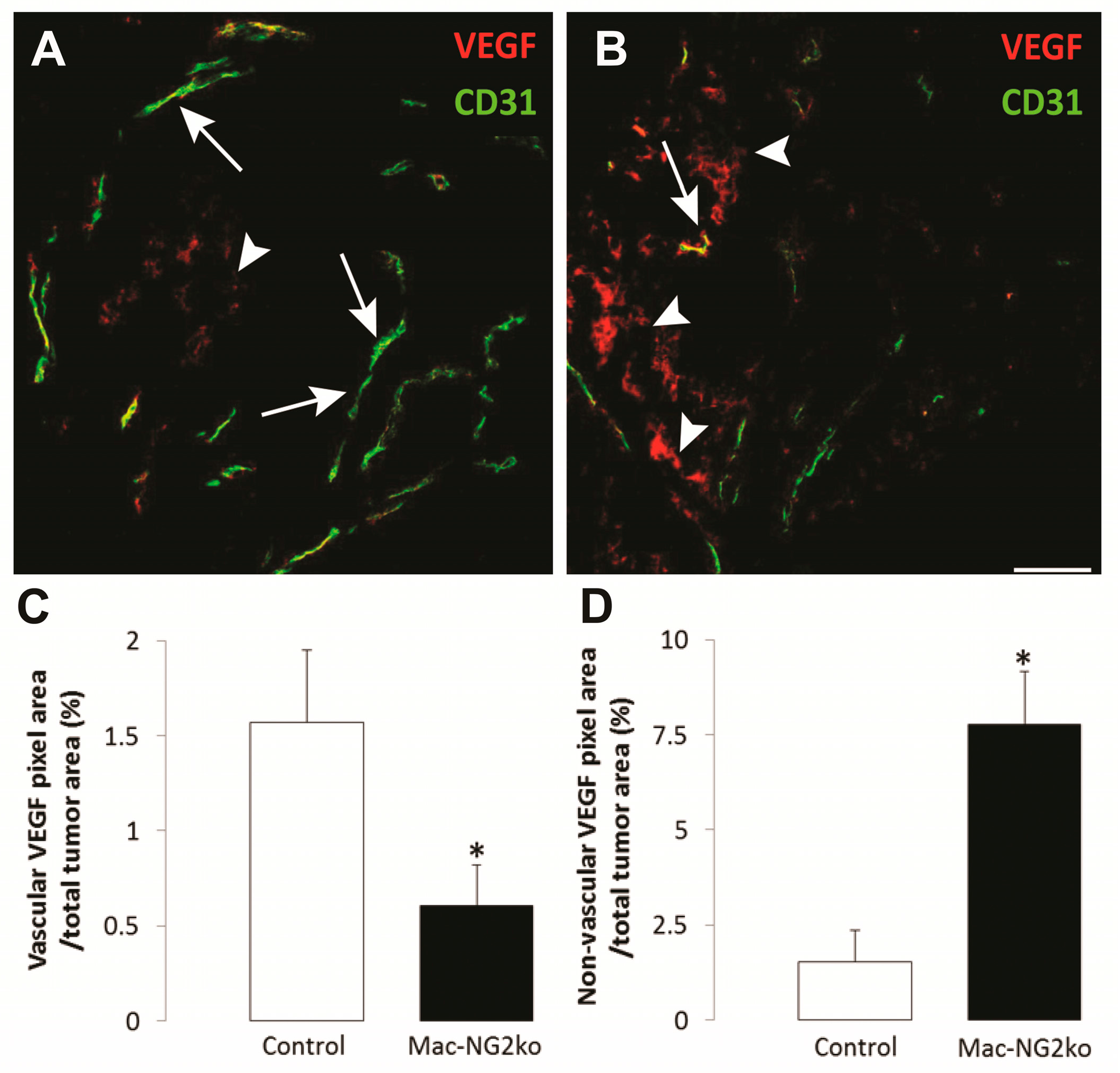 Cancers 09 00097 g005 Cancers 09 00097 g005
