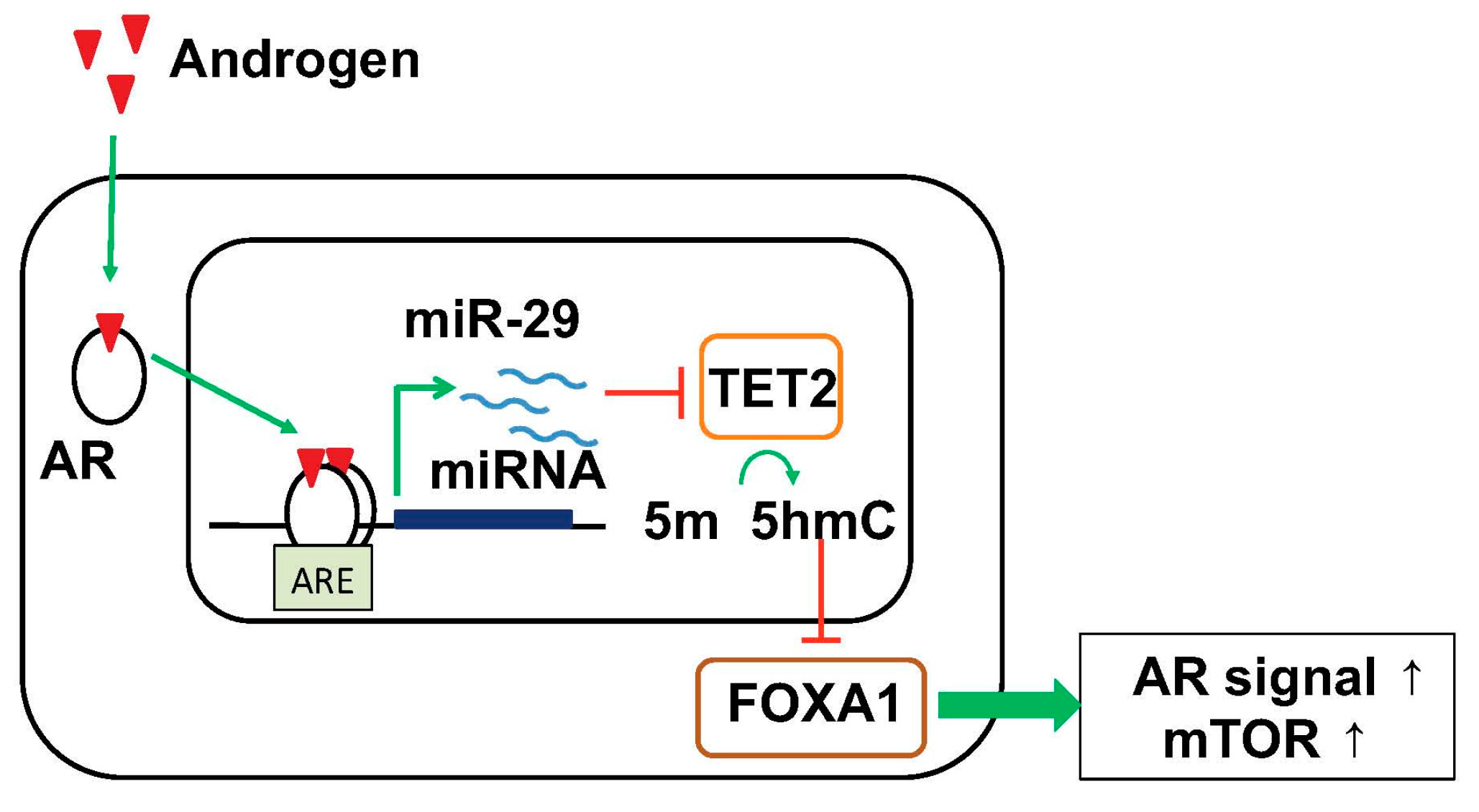 Cancers 09 00102 g003 Cancers 09 00102 g003