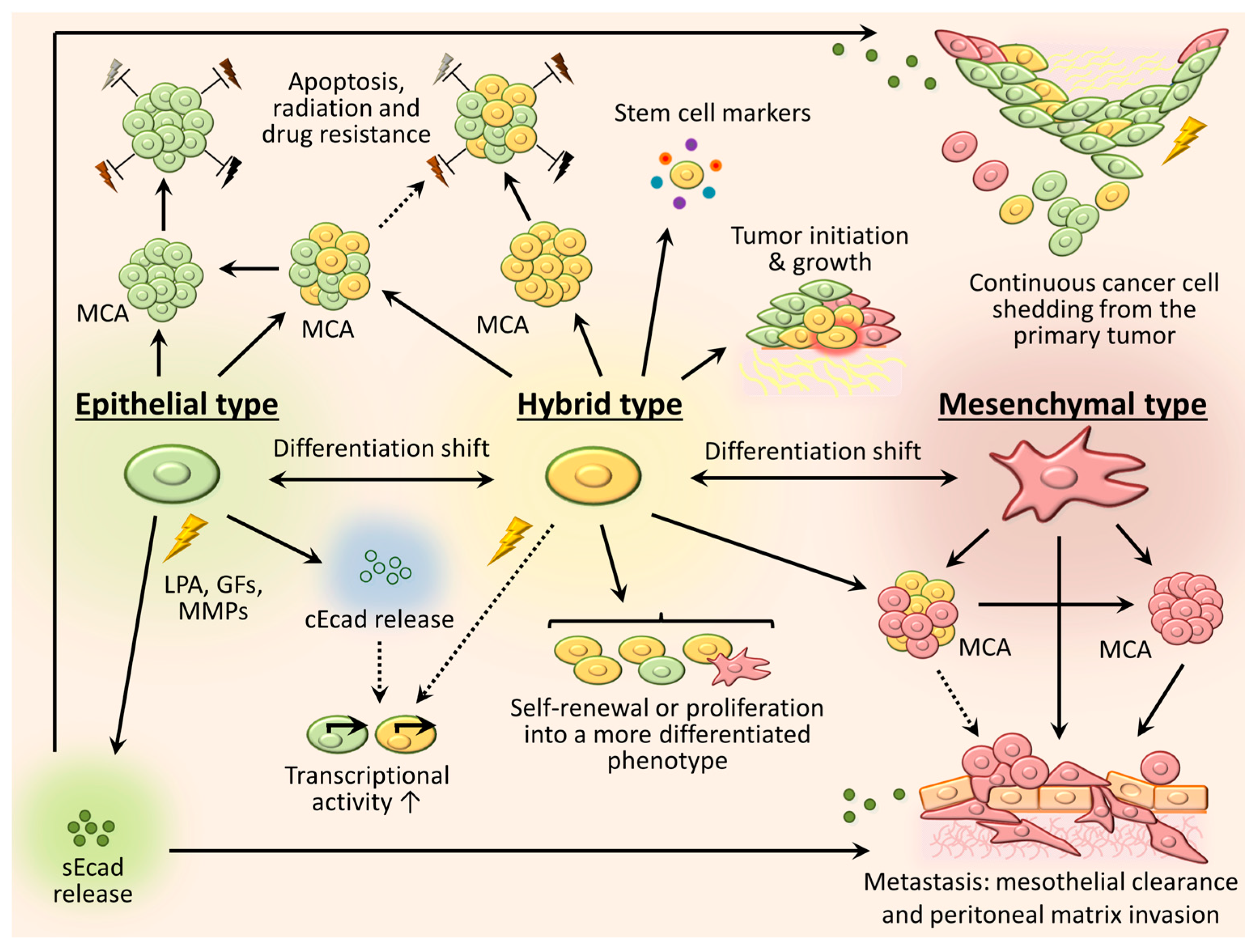Cancers 09 00104 g003 Cancers 09 00104 g003