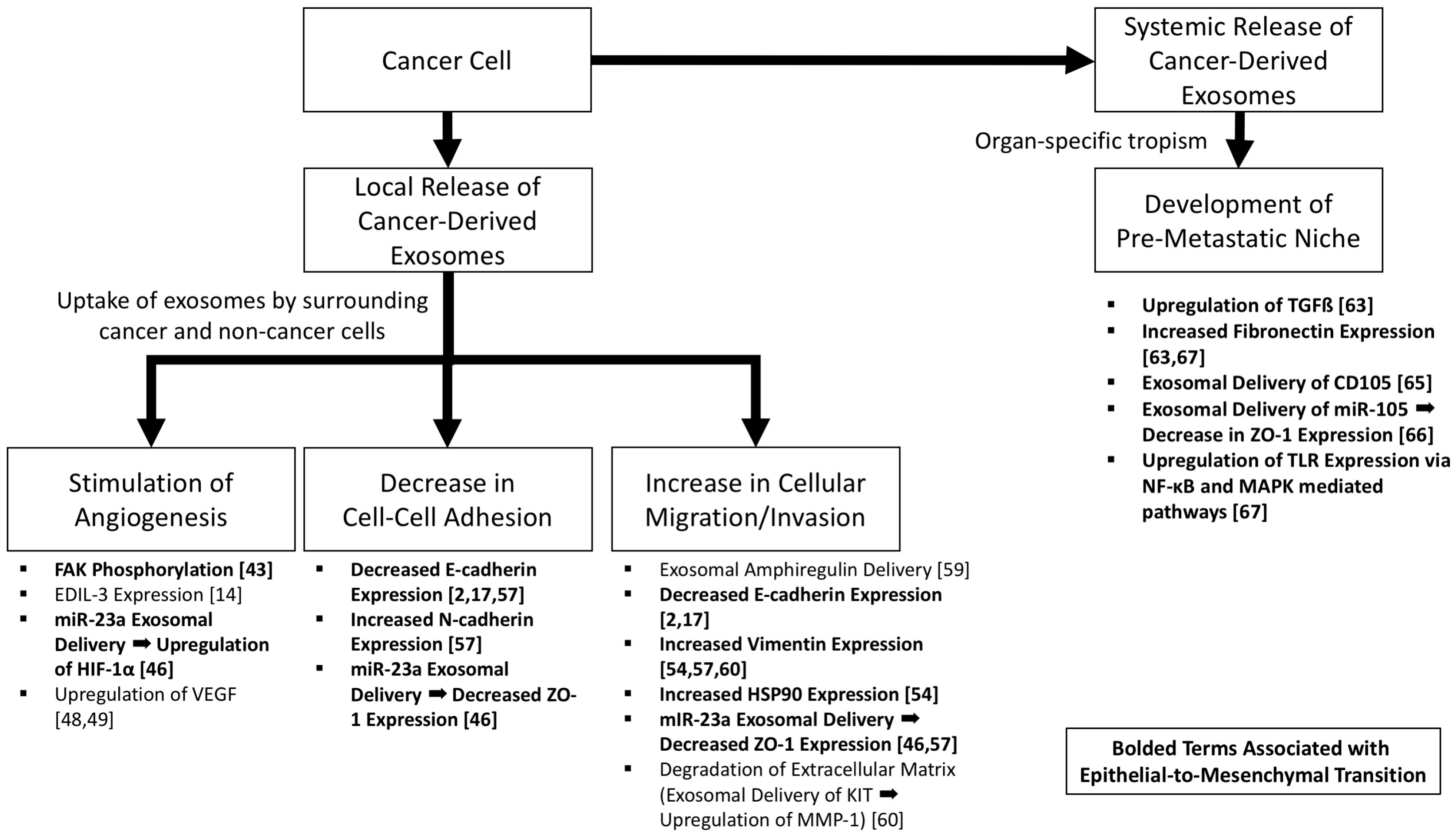 Cancers 09 00105 g002 Cancers 09 00105 g002