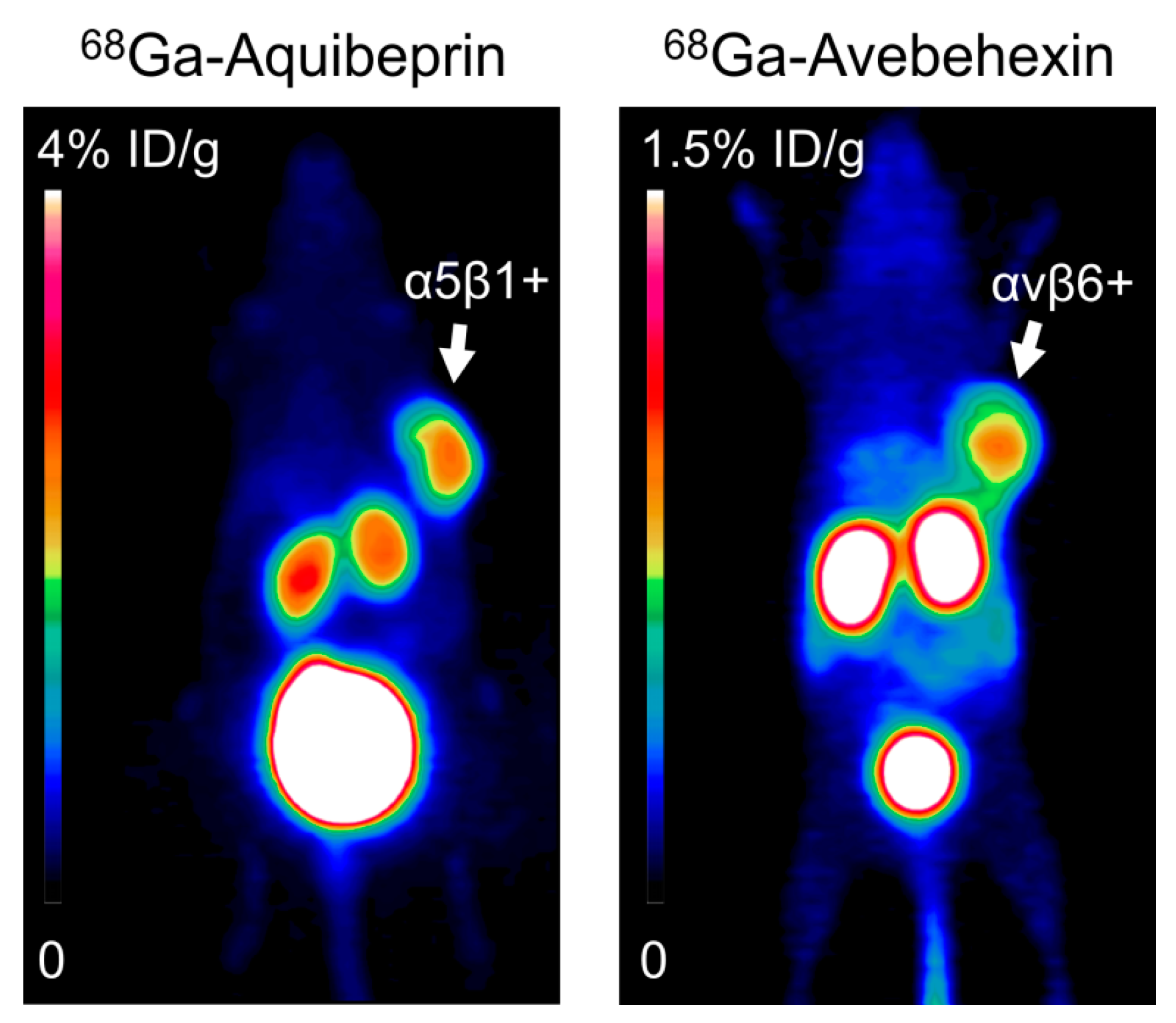 Cancers 09 00116 g004