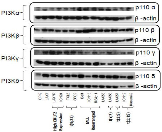 Cancers Special Issue Integrins In Cancer