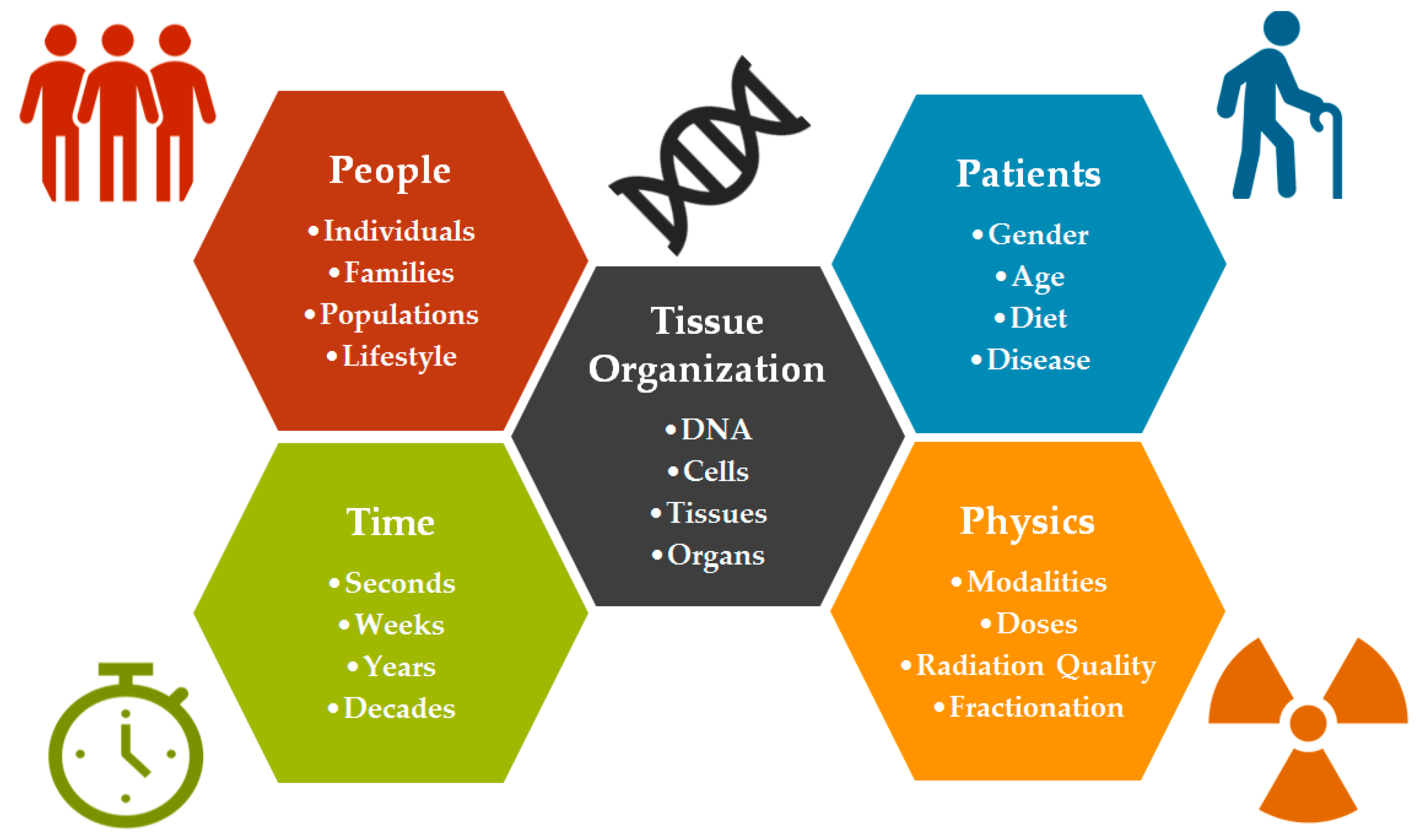 cancers free full text clinical and functional assays of radiosensitivity and radiation induced second cancer html