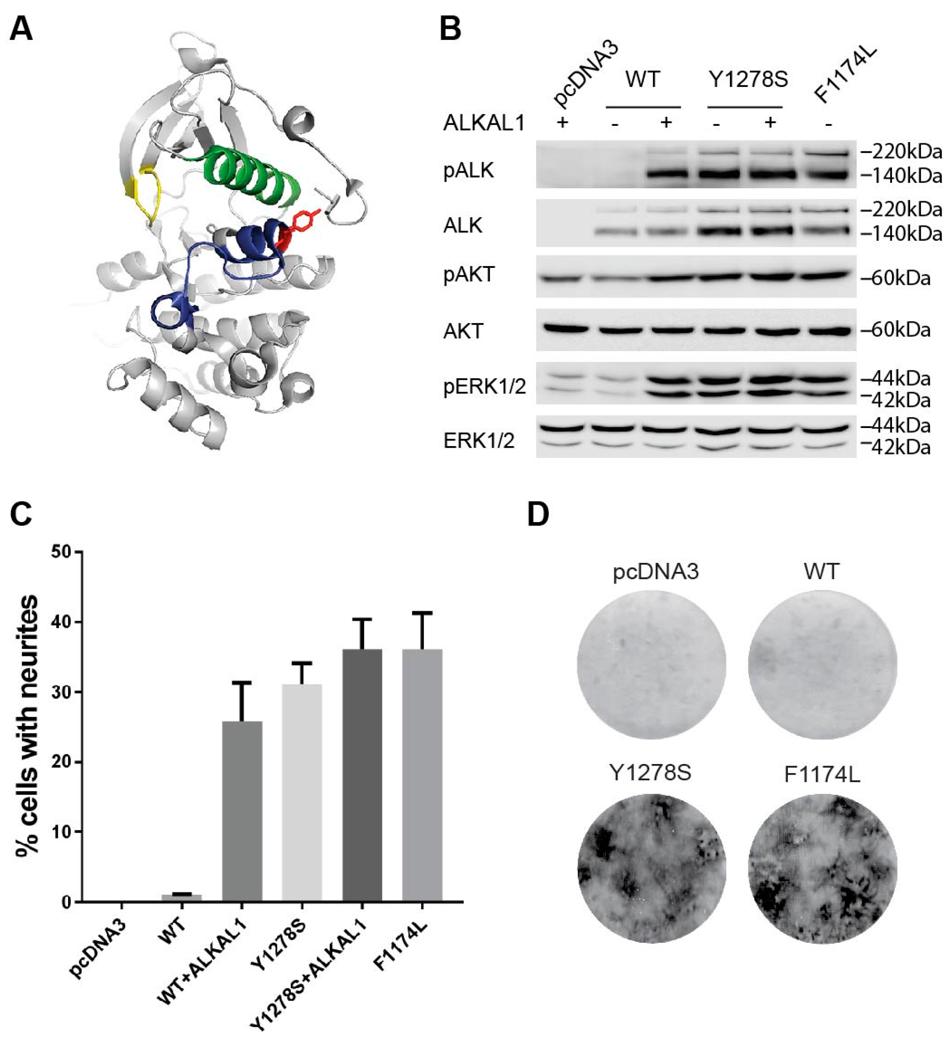 Cancers 09 00149 g001 550