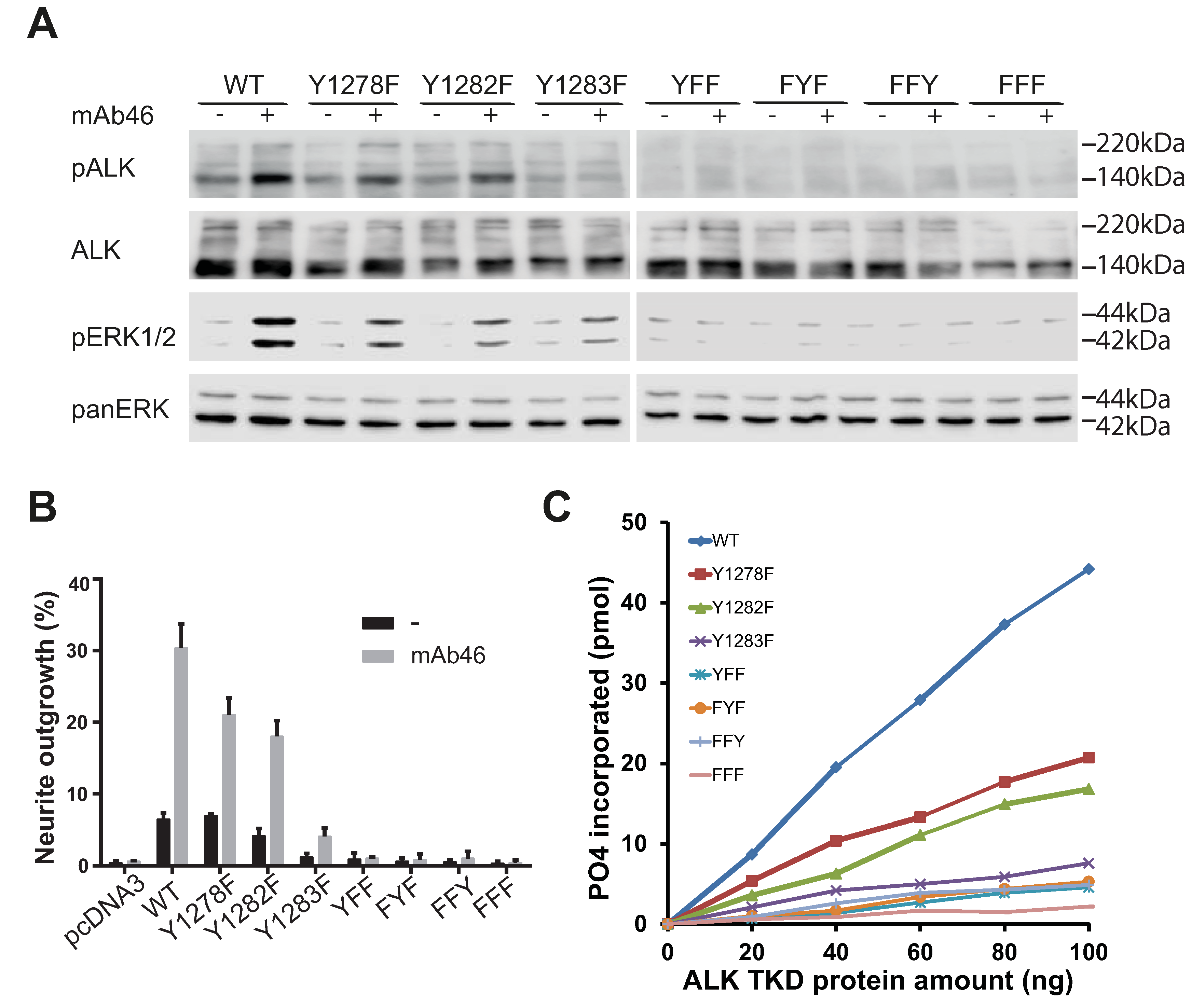 Cancers 09 00149 g004 550
