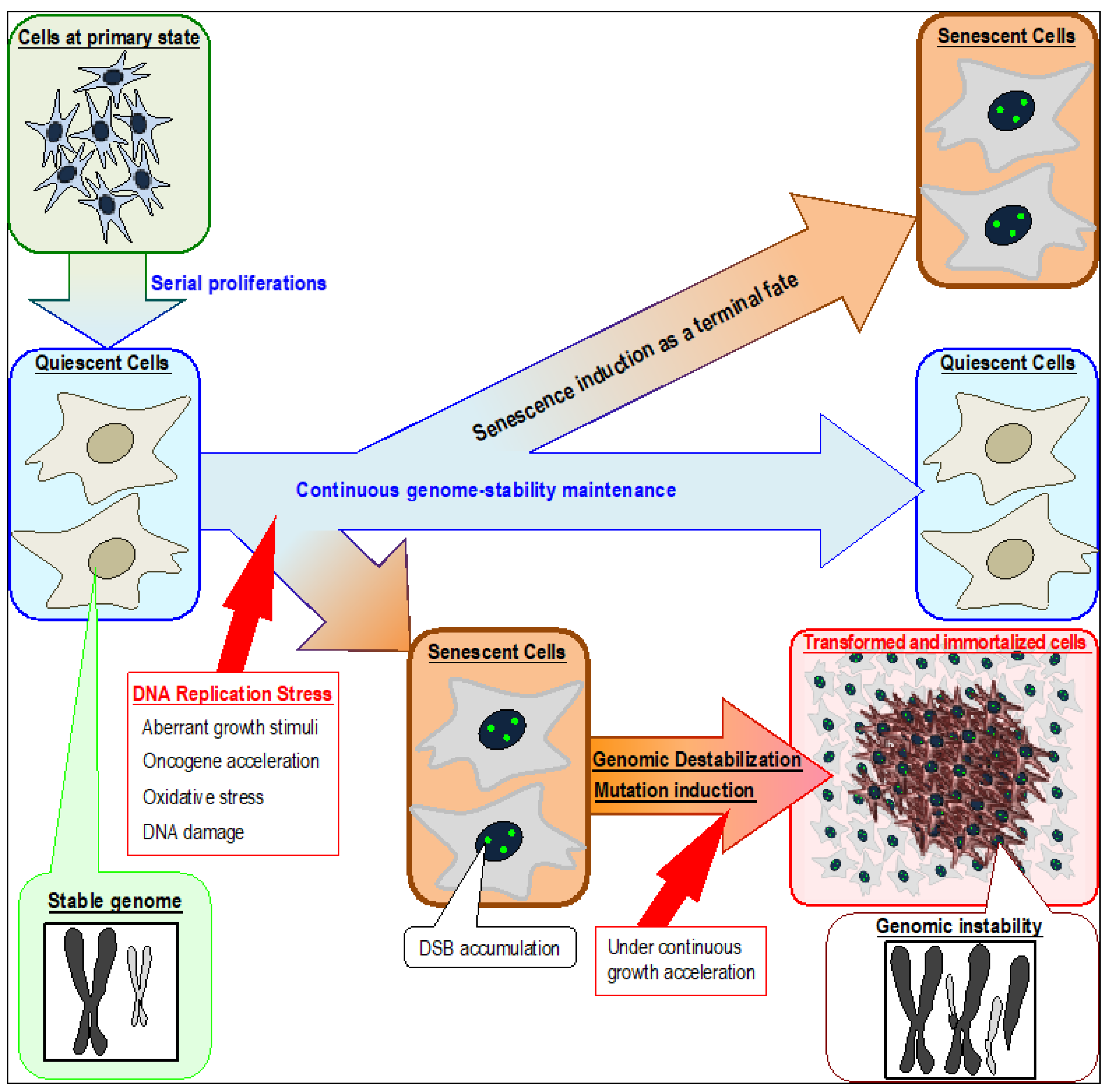 Cancers 09 00159 g001