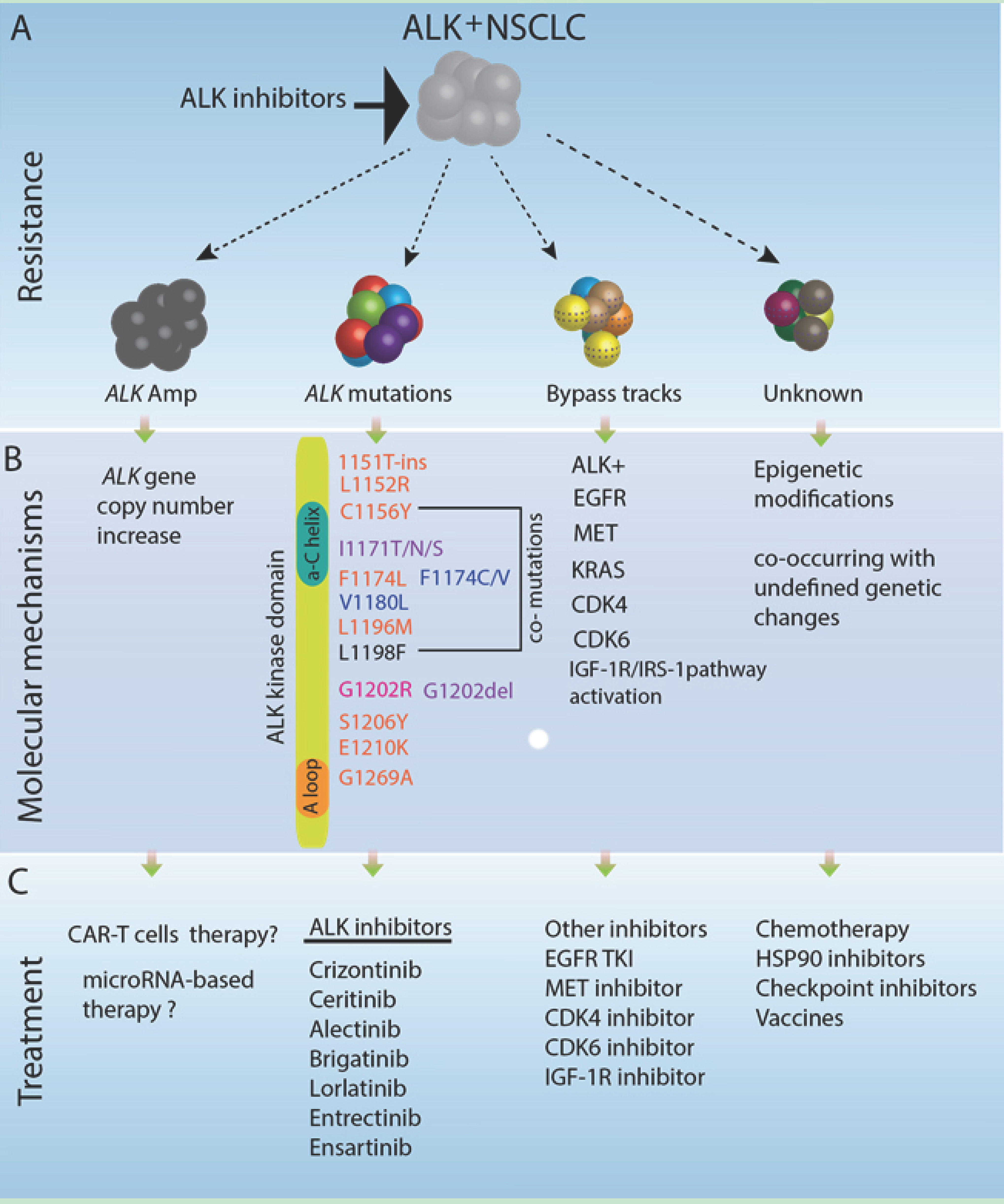 Cancers | Free Full-Text | Non-Canonical Thinking for Targeting ALK