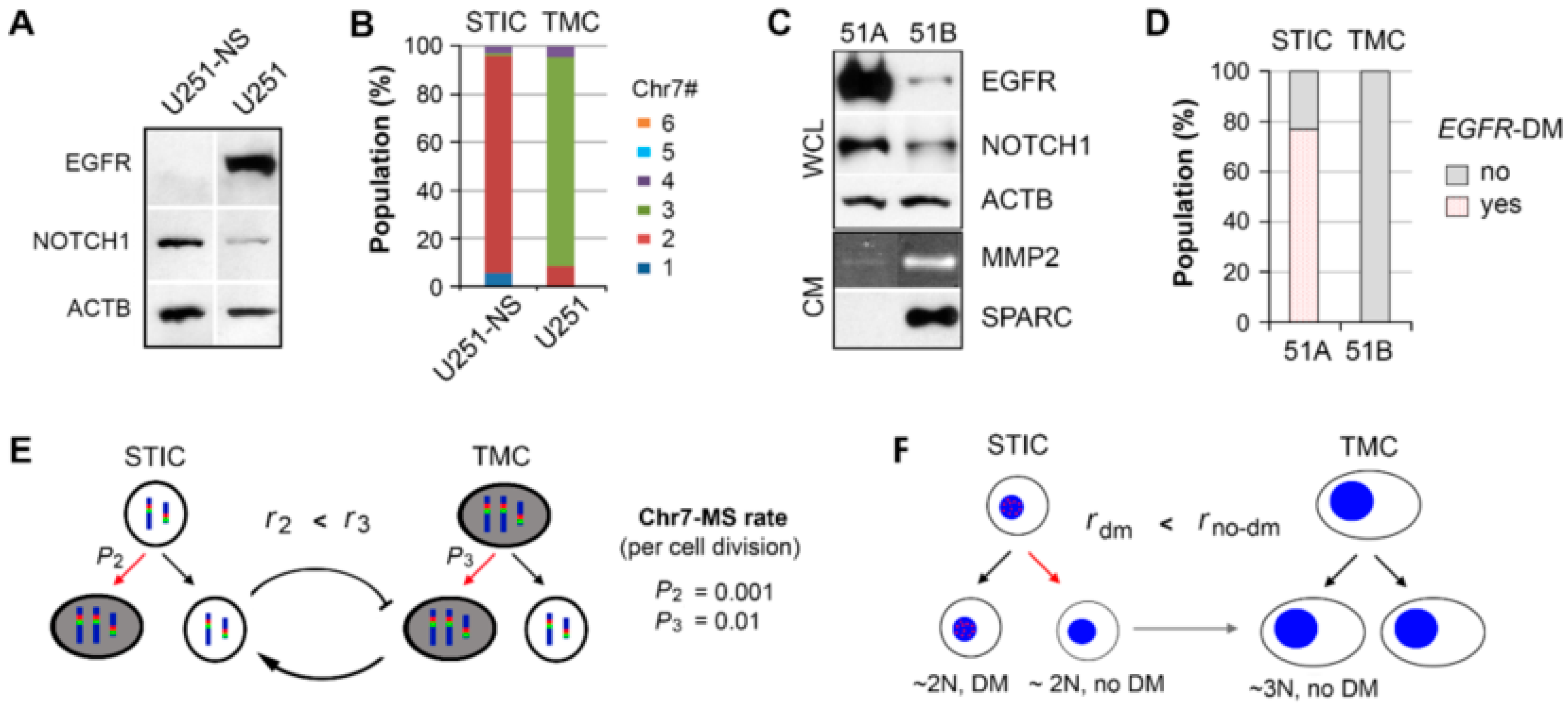Cancers 09 00168 g001 550