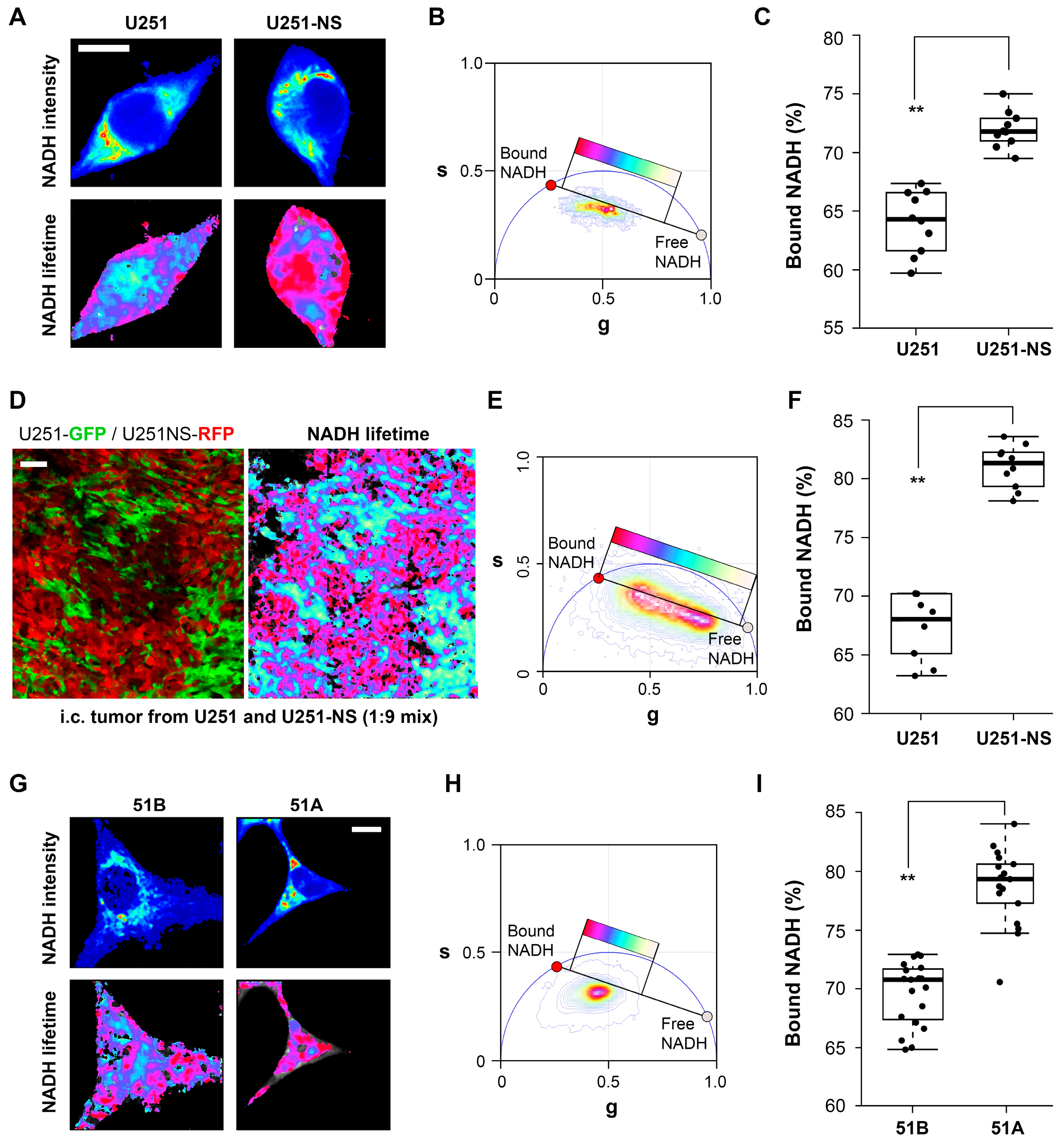 Cancers 09 00168 g002 550