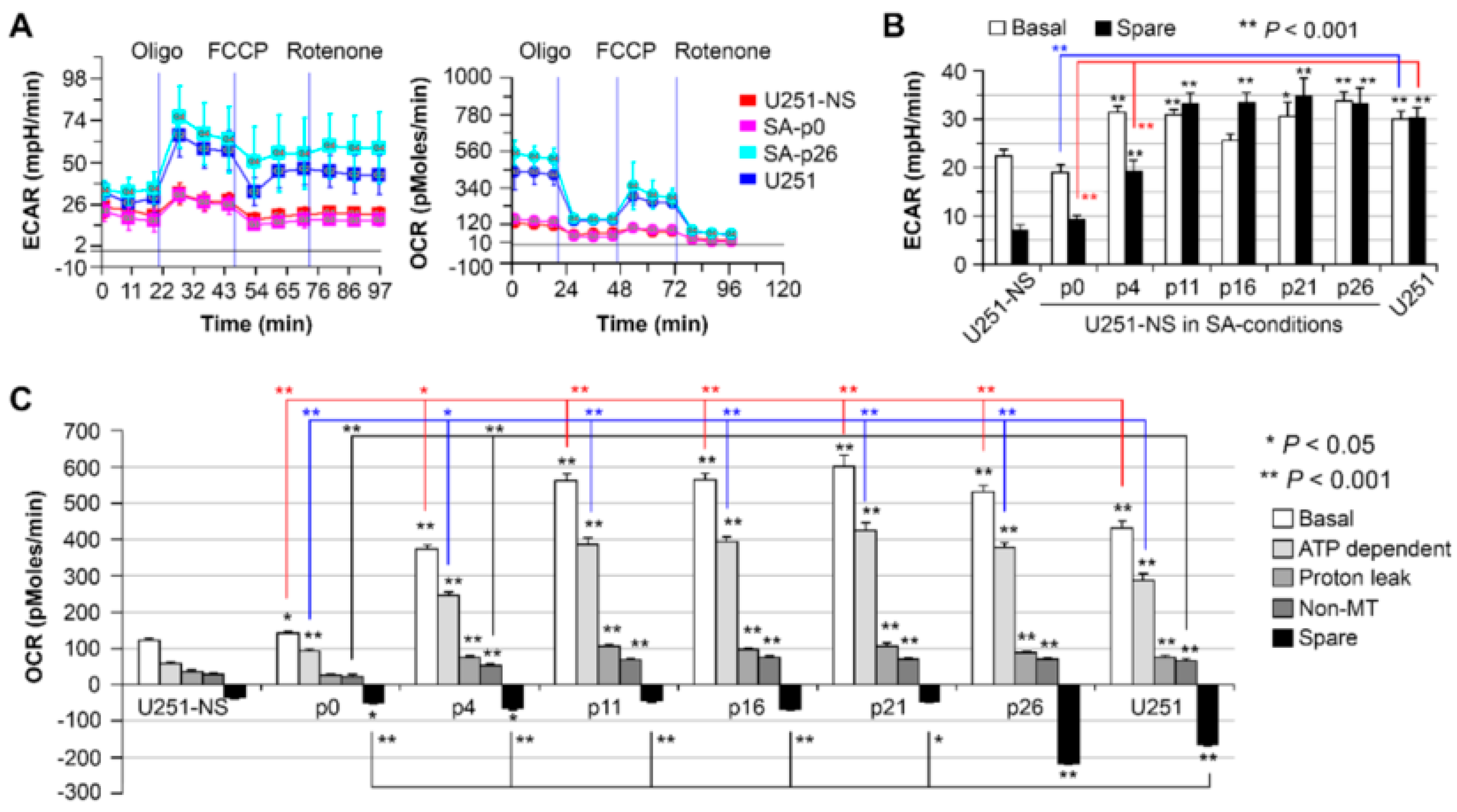 Cancers 09 00168 g004 550