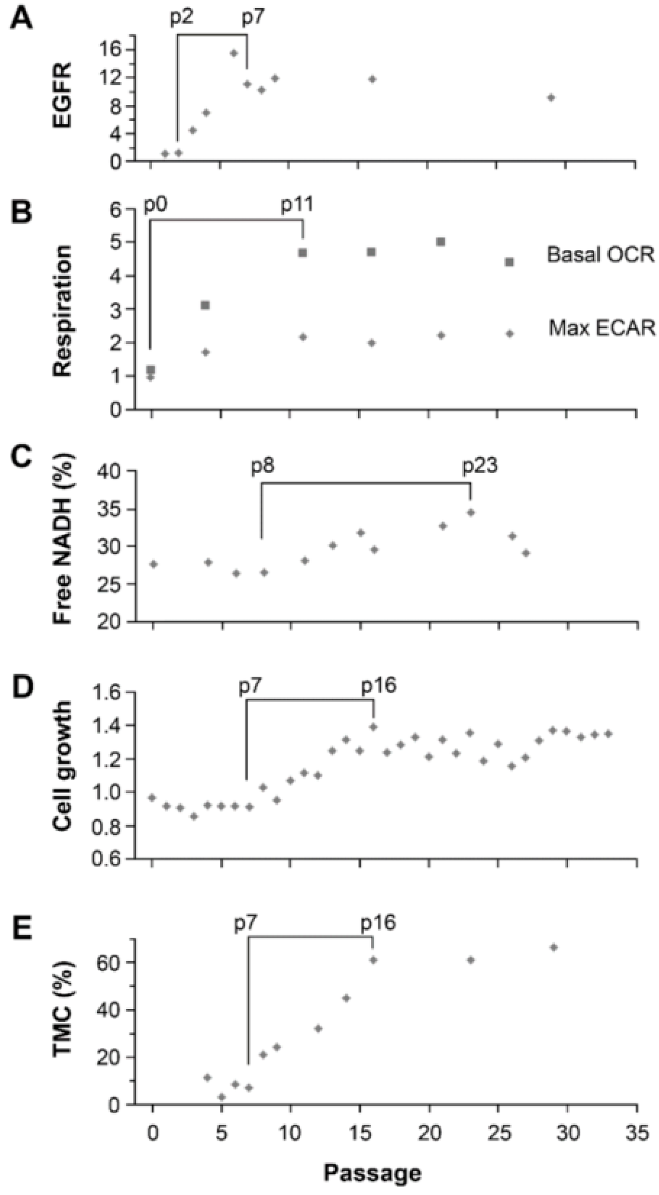 Cancers 09 00168 g006 550