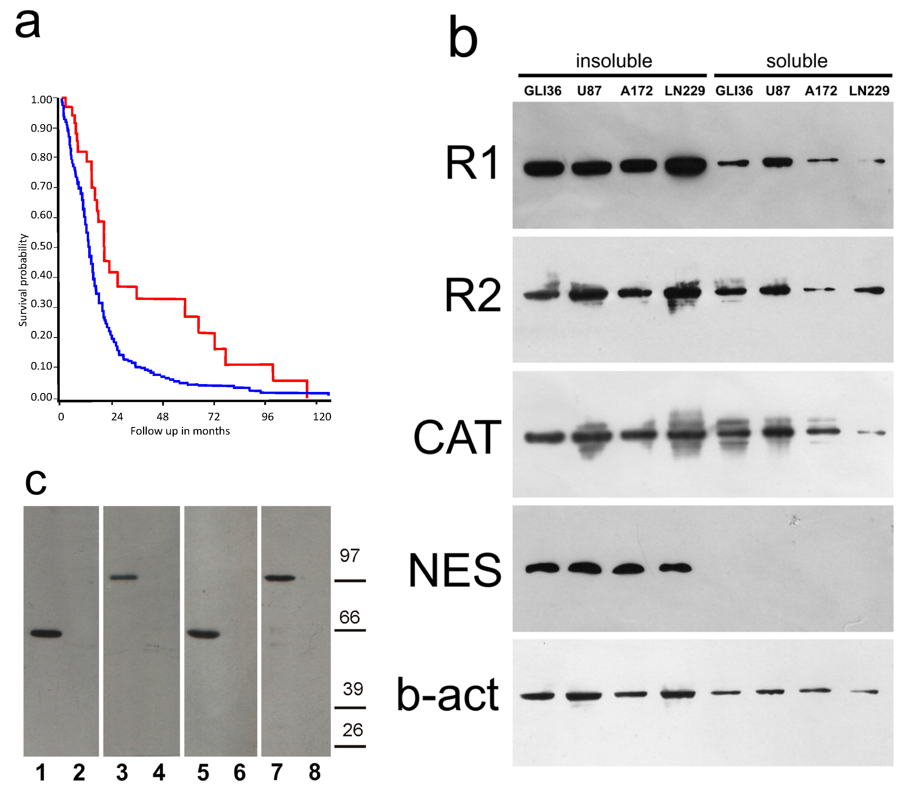 Cancers 10 00002 g001