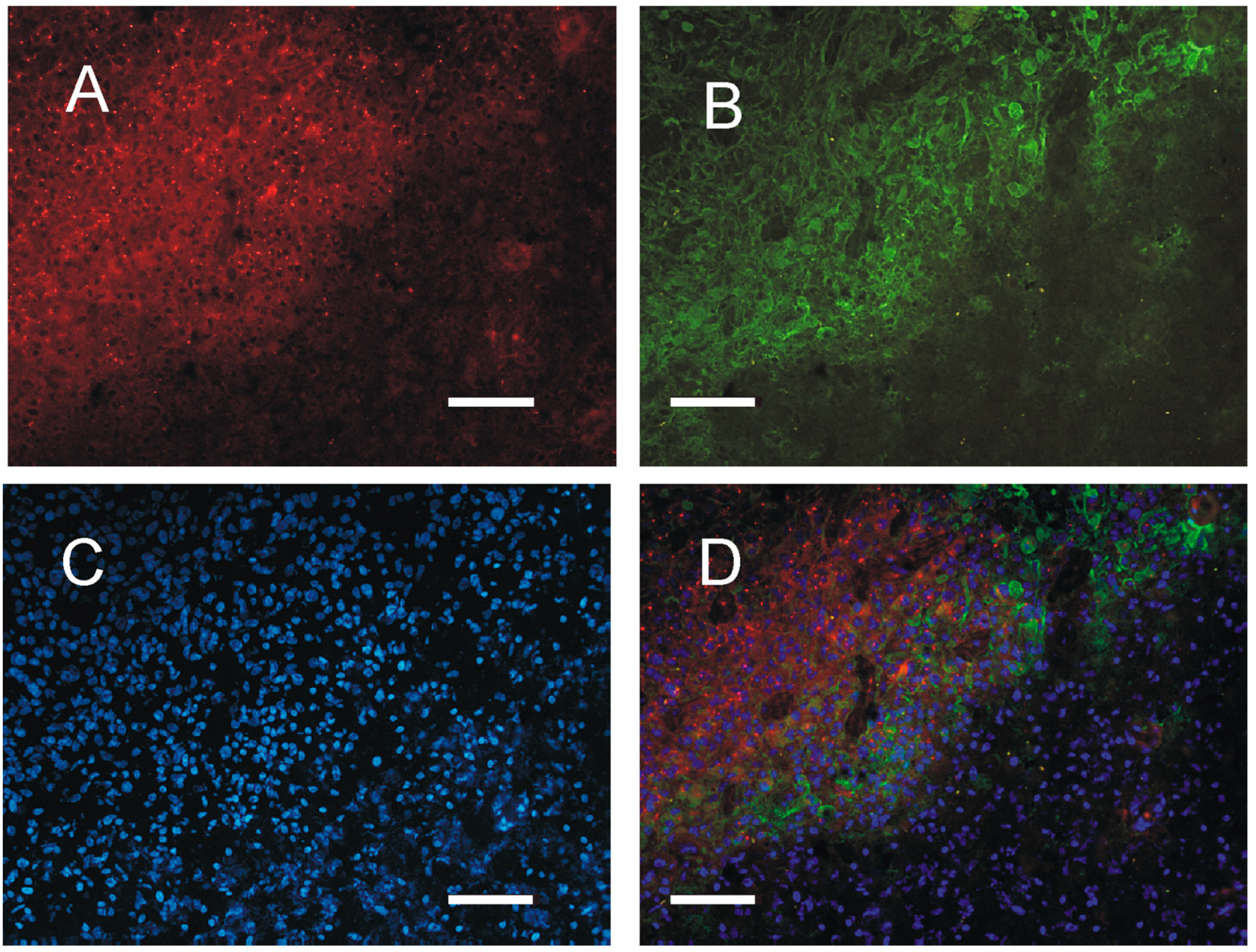 Cancers 10 00002 g006