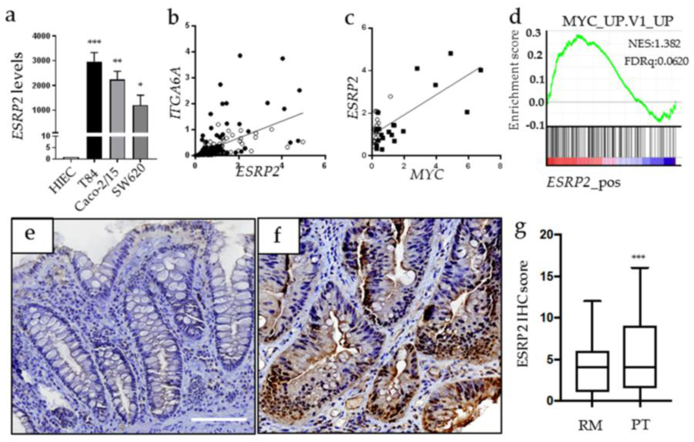 Cancers 10 00042 g005 Cancers 10 00042 g005