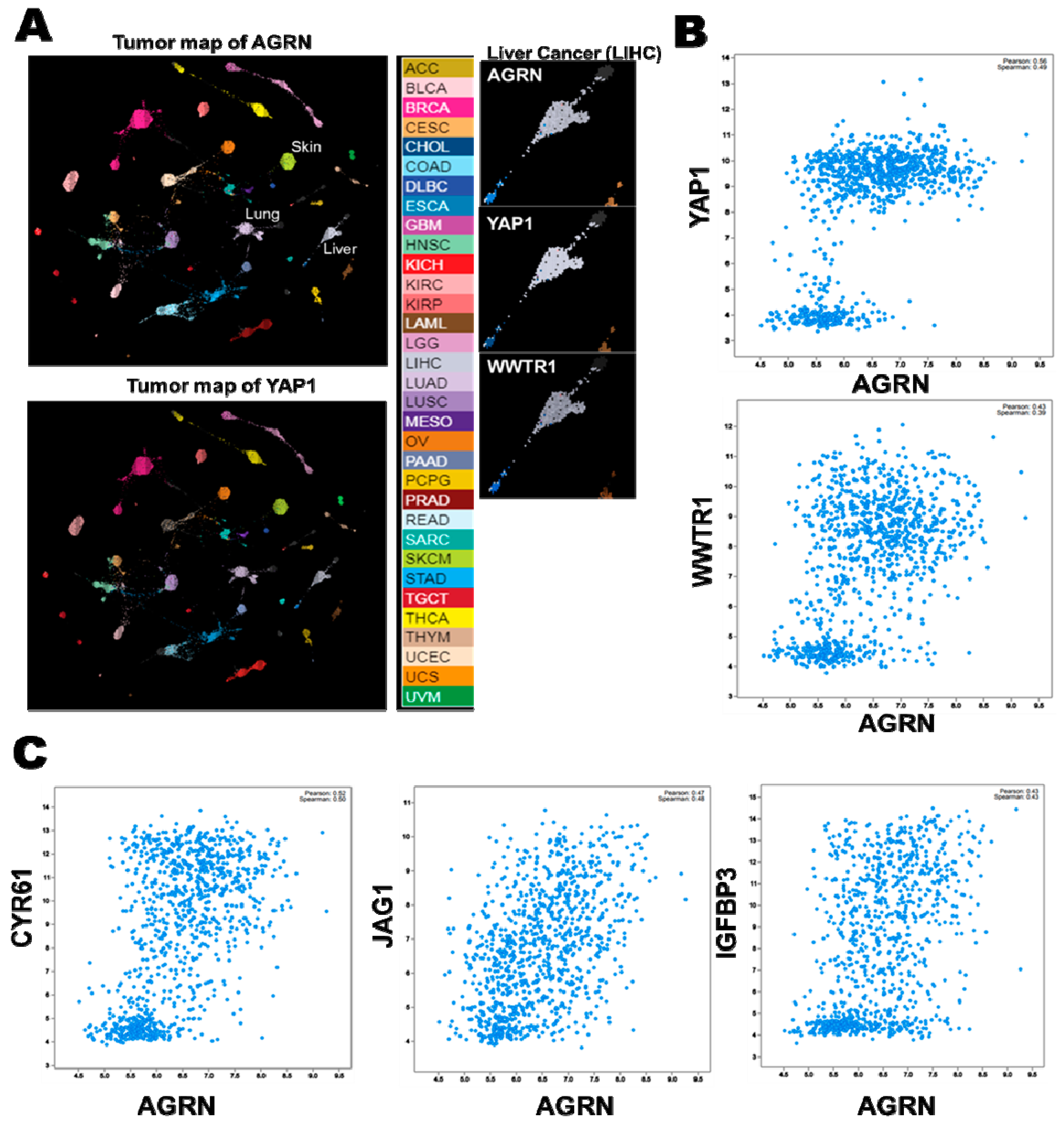 Cancers 10 00045 g006 Cancers 10 00045 g006