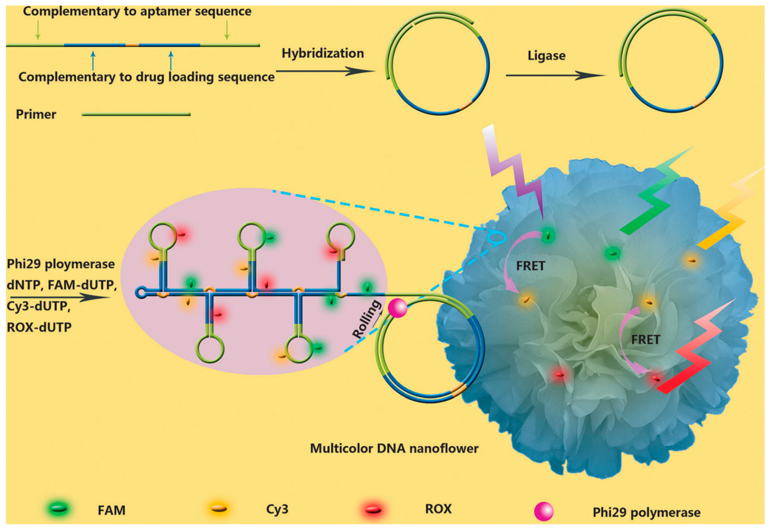 Cancers 10 00047 g002