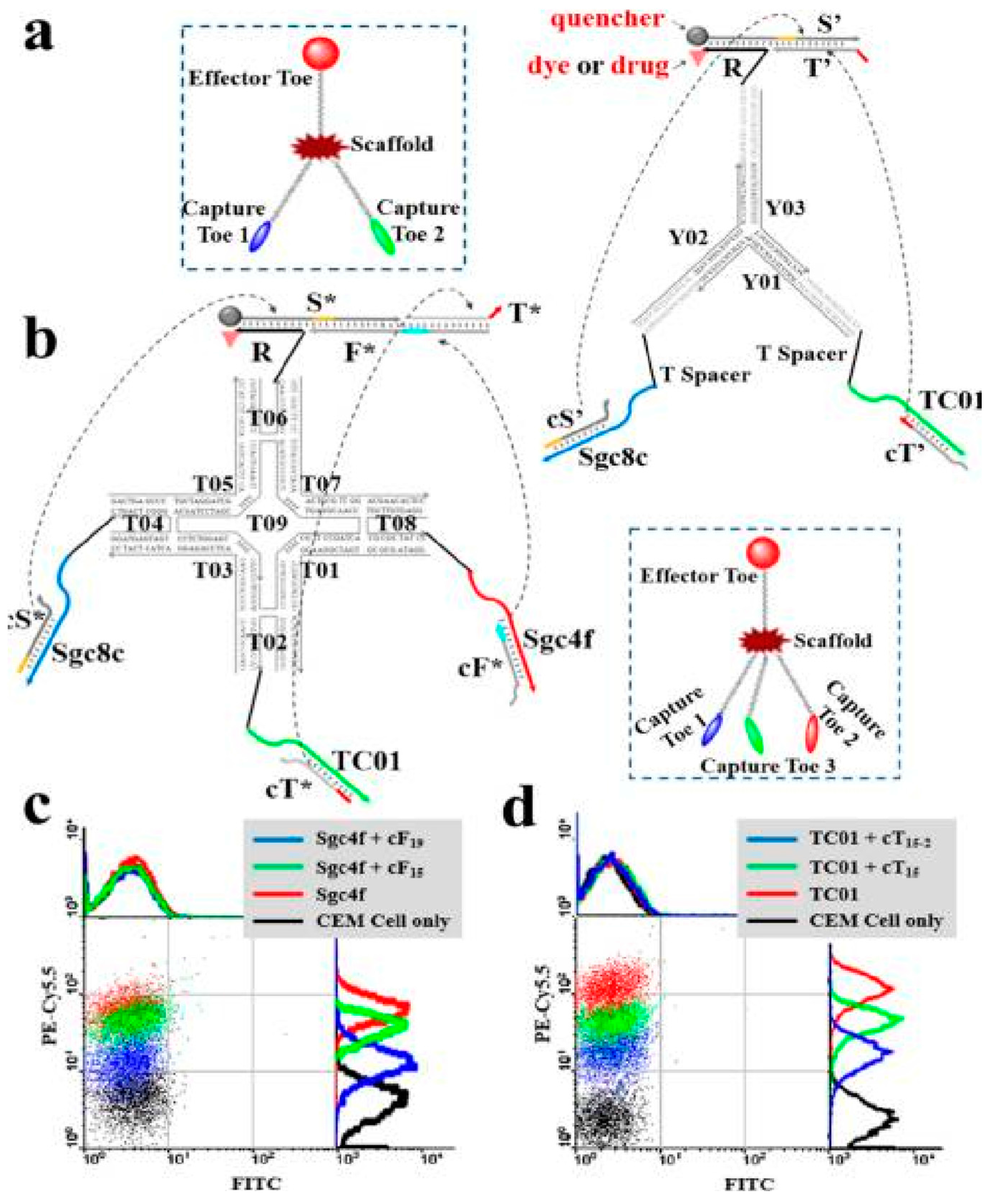 Cancers 10 00047 g008