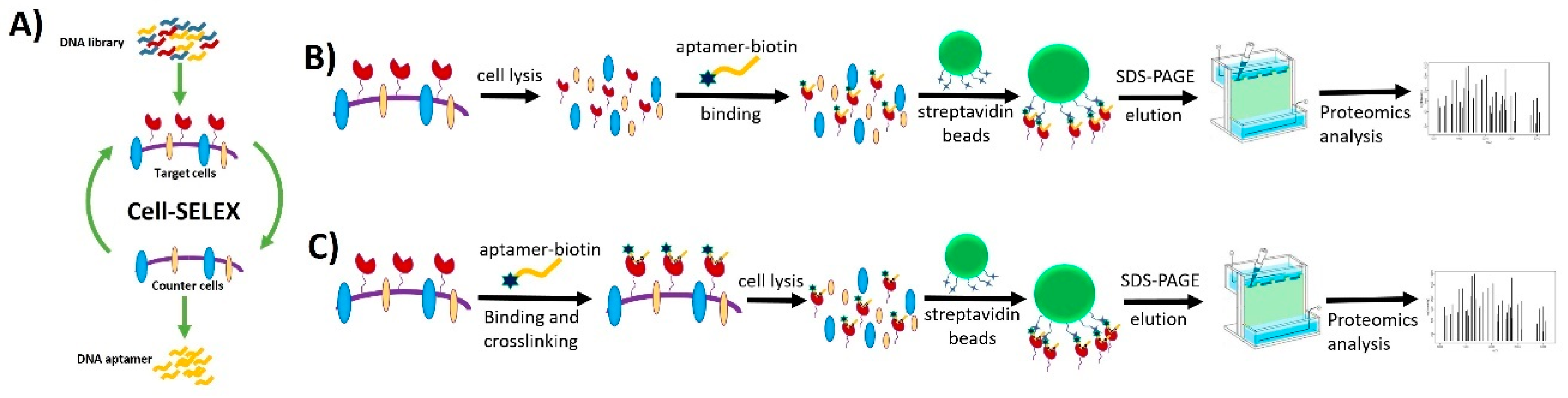 Cancers 10 00047 g014