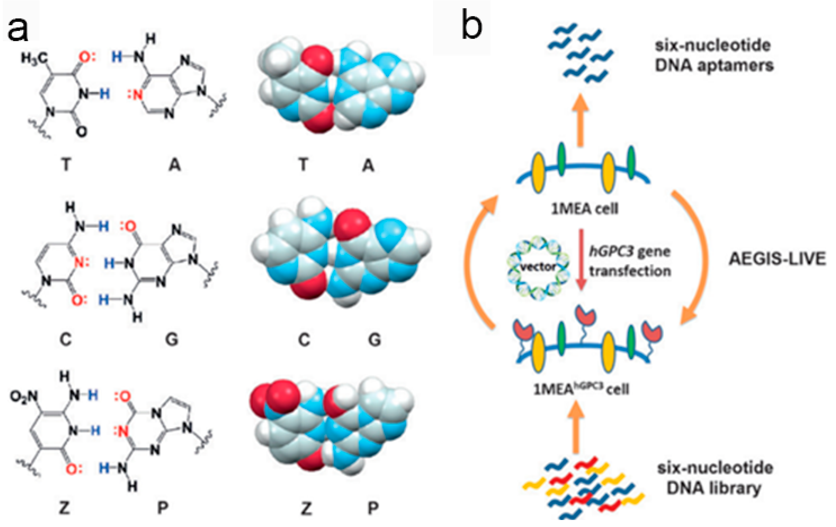 Cancers 10 00047 g015